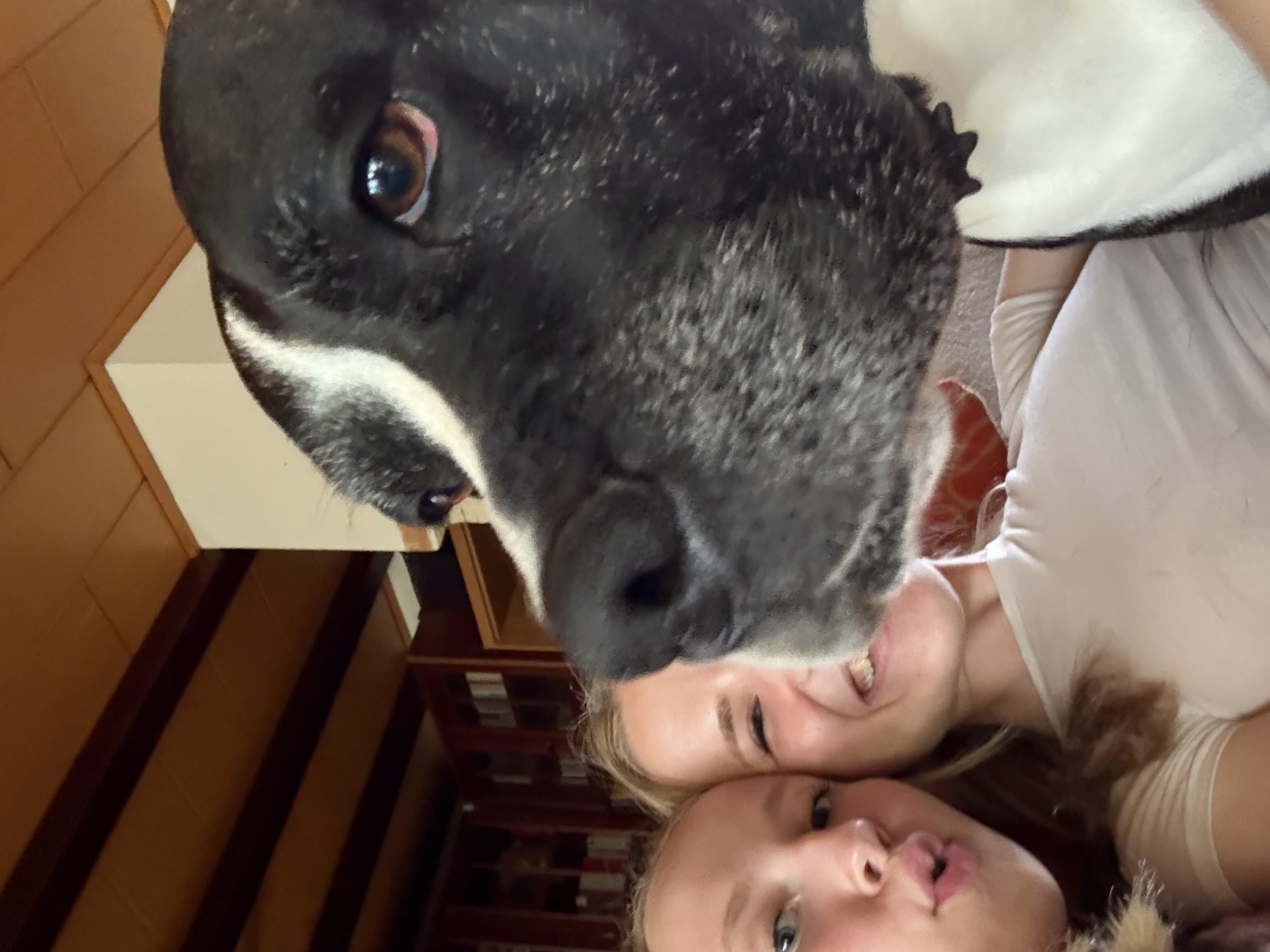 image-3