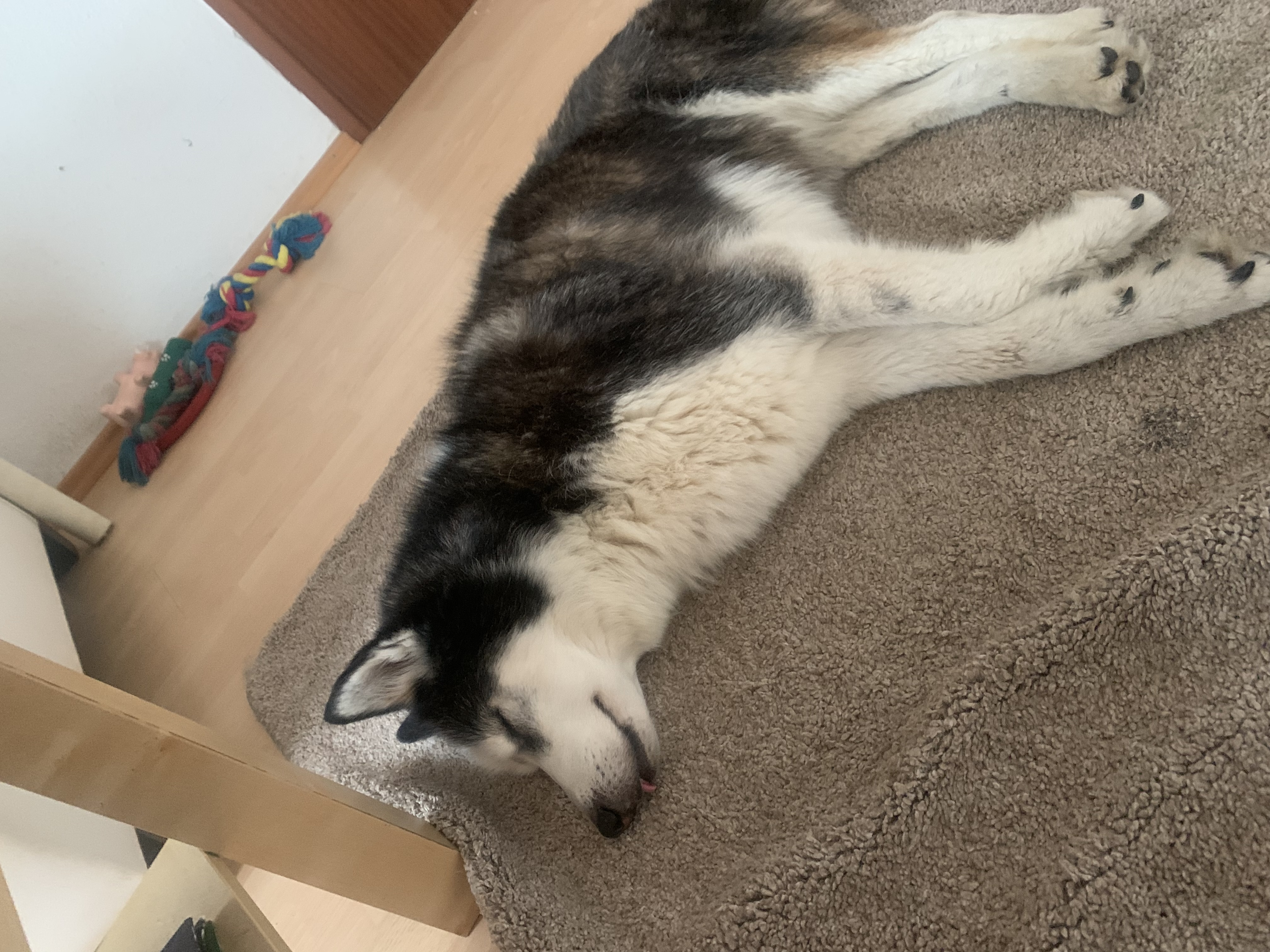 image-12