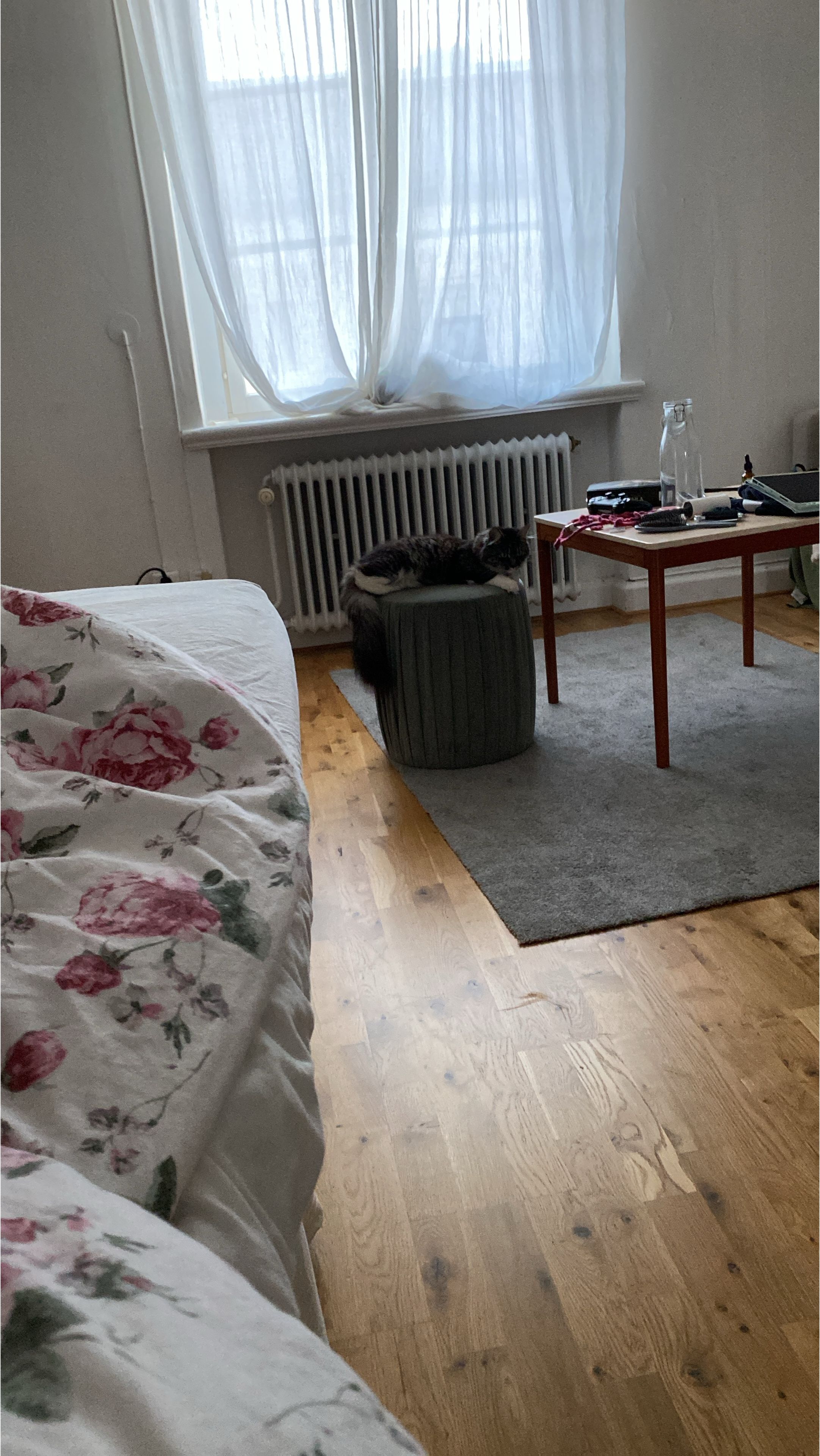 image-7