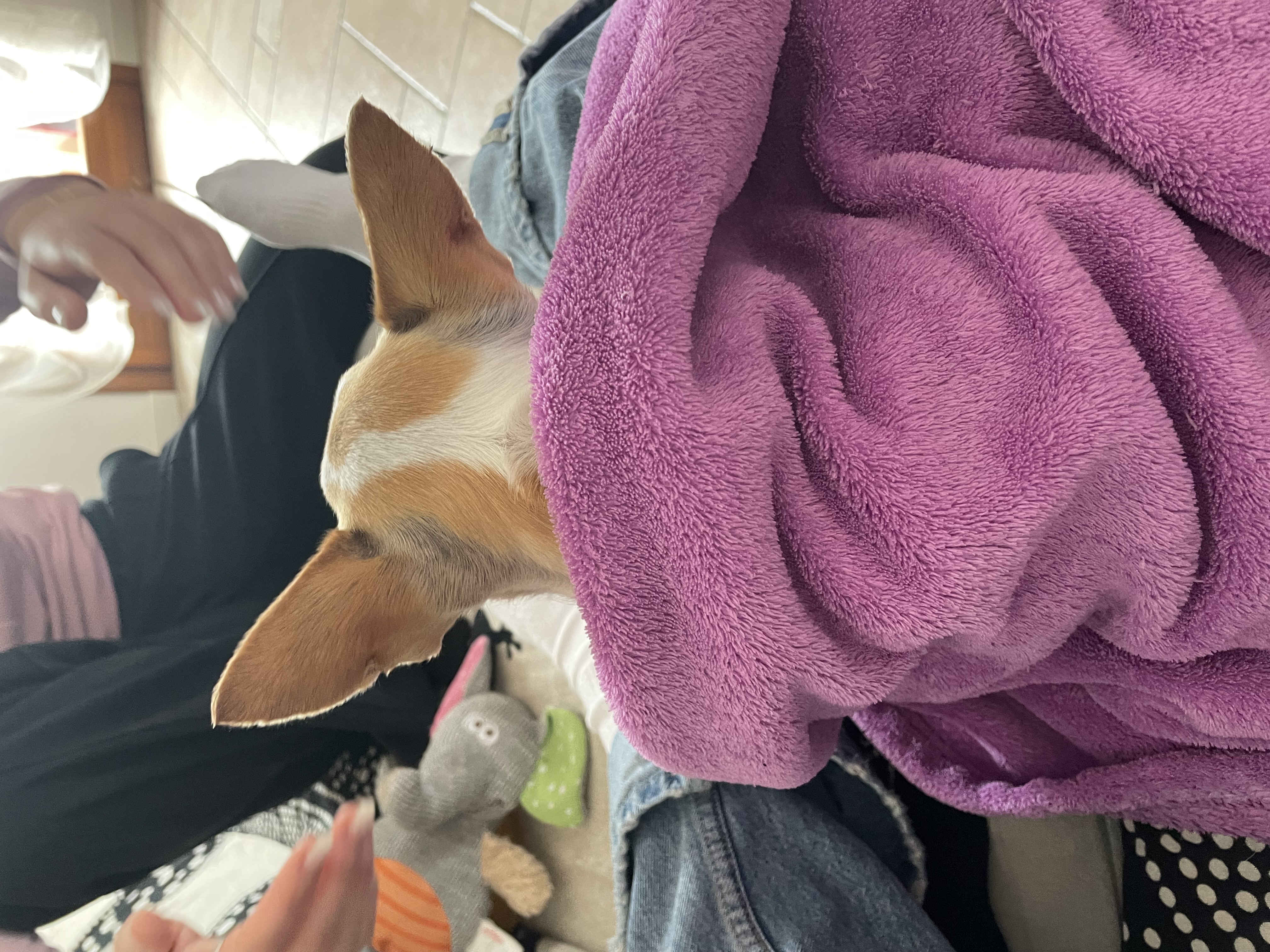 image-7