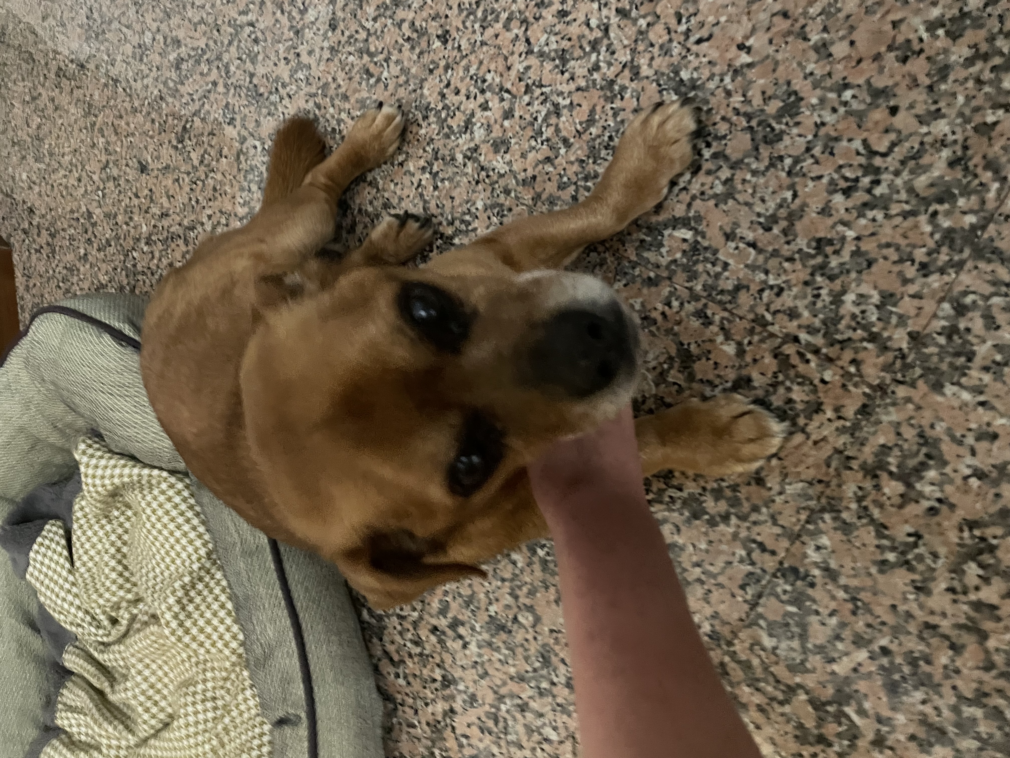 image-6