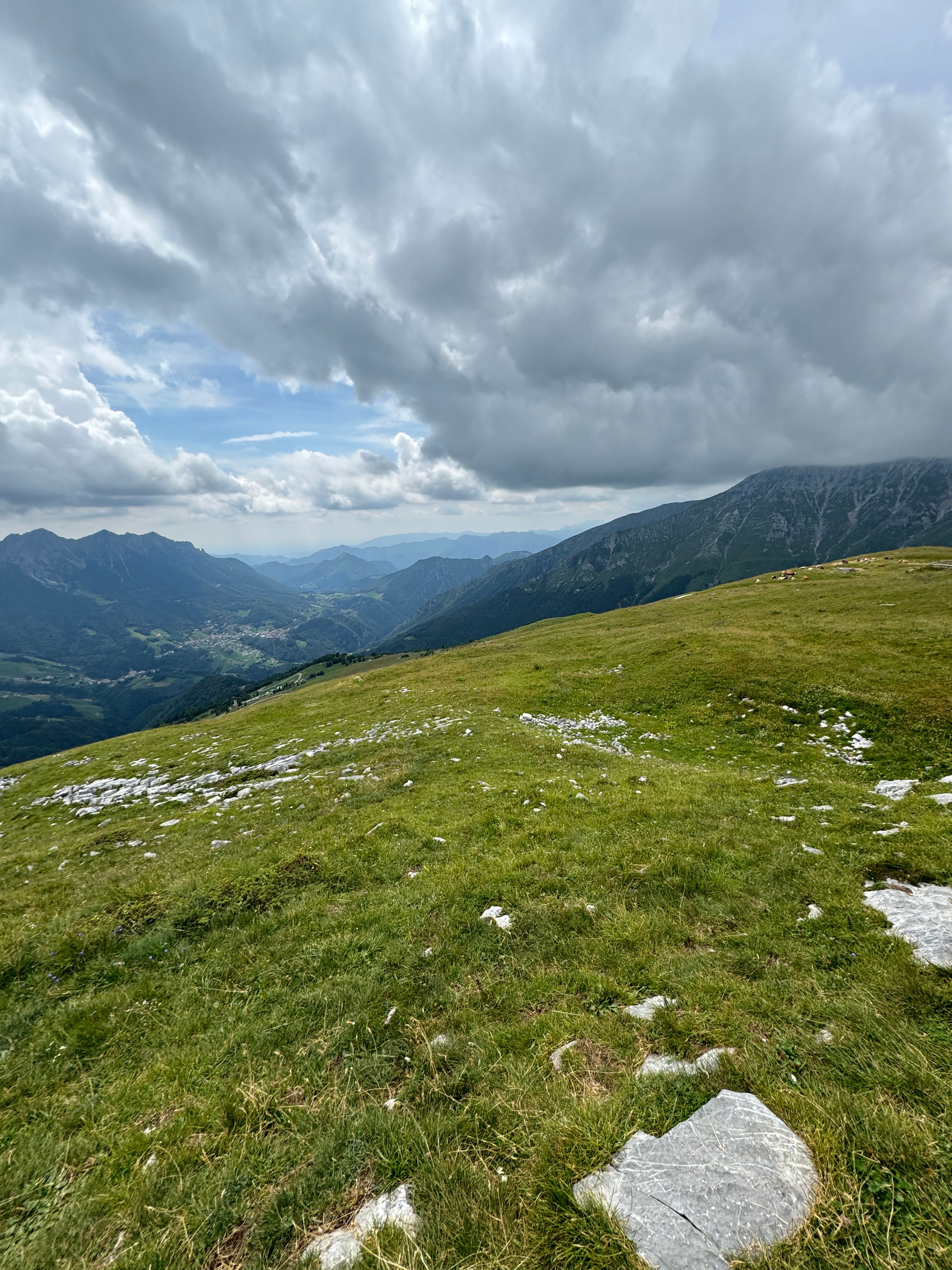 image-14