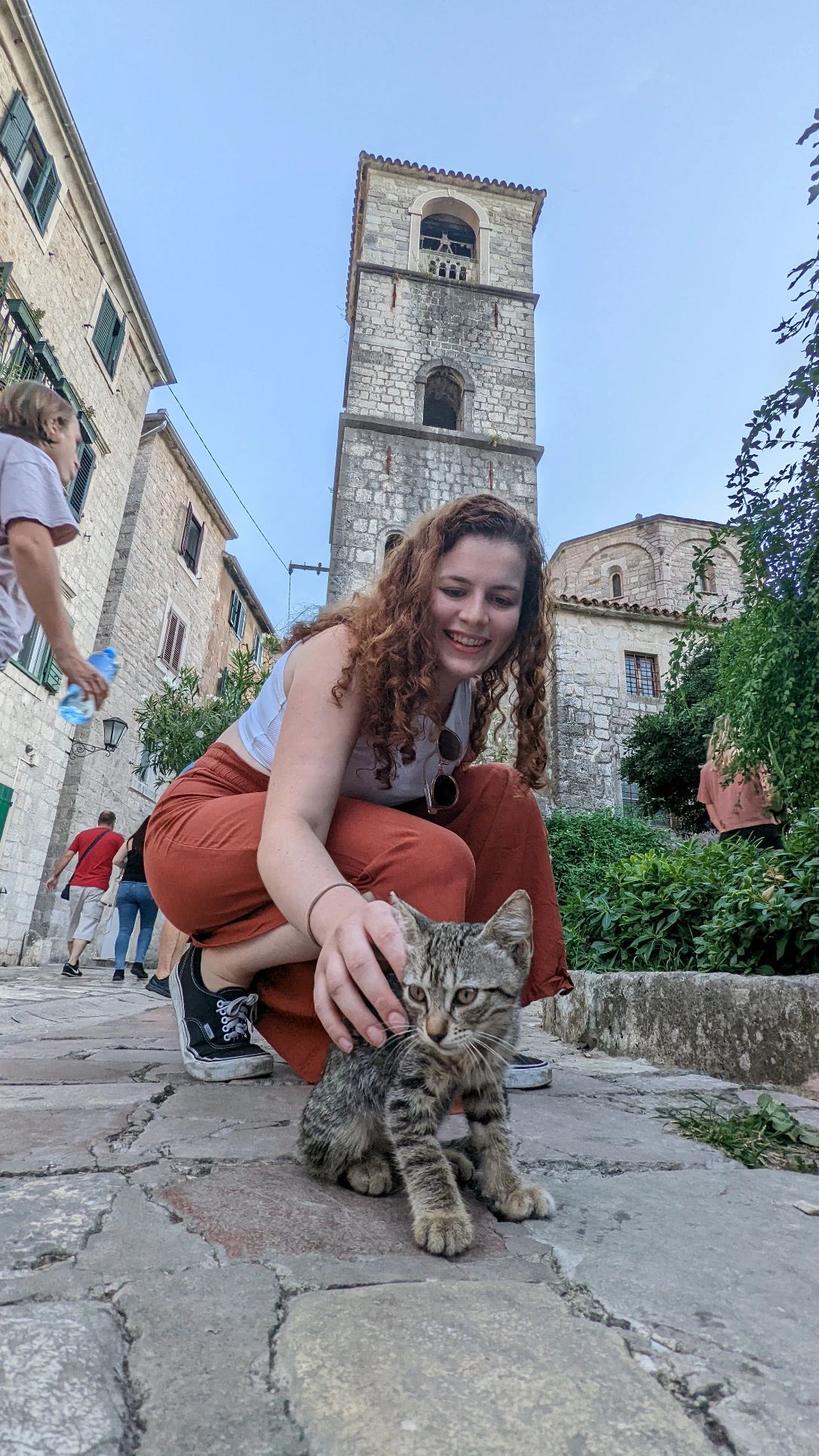 image-6