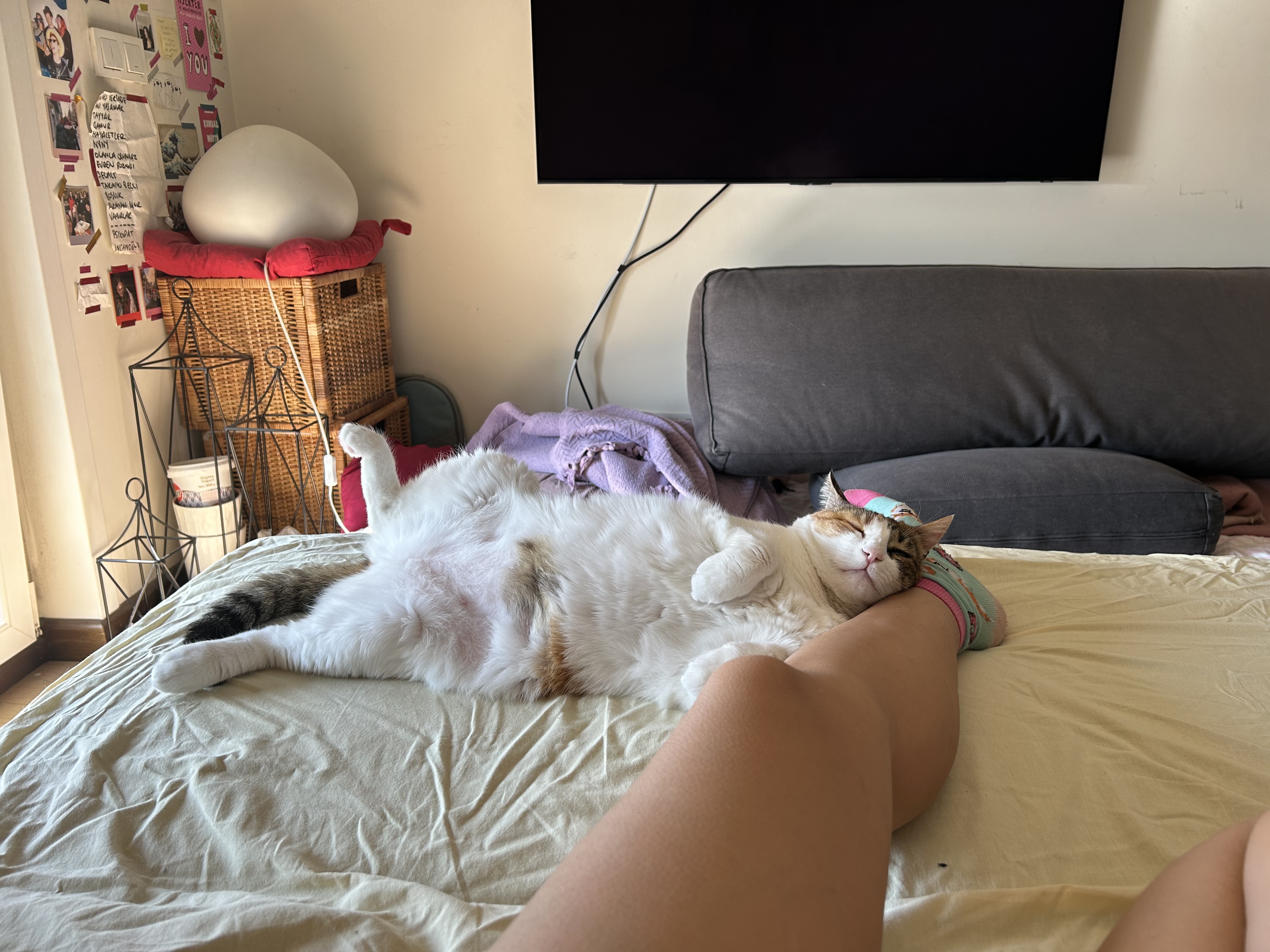 image-6