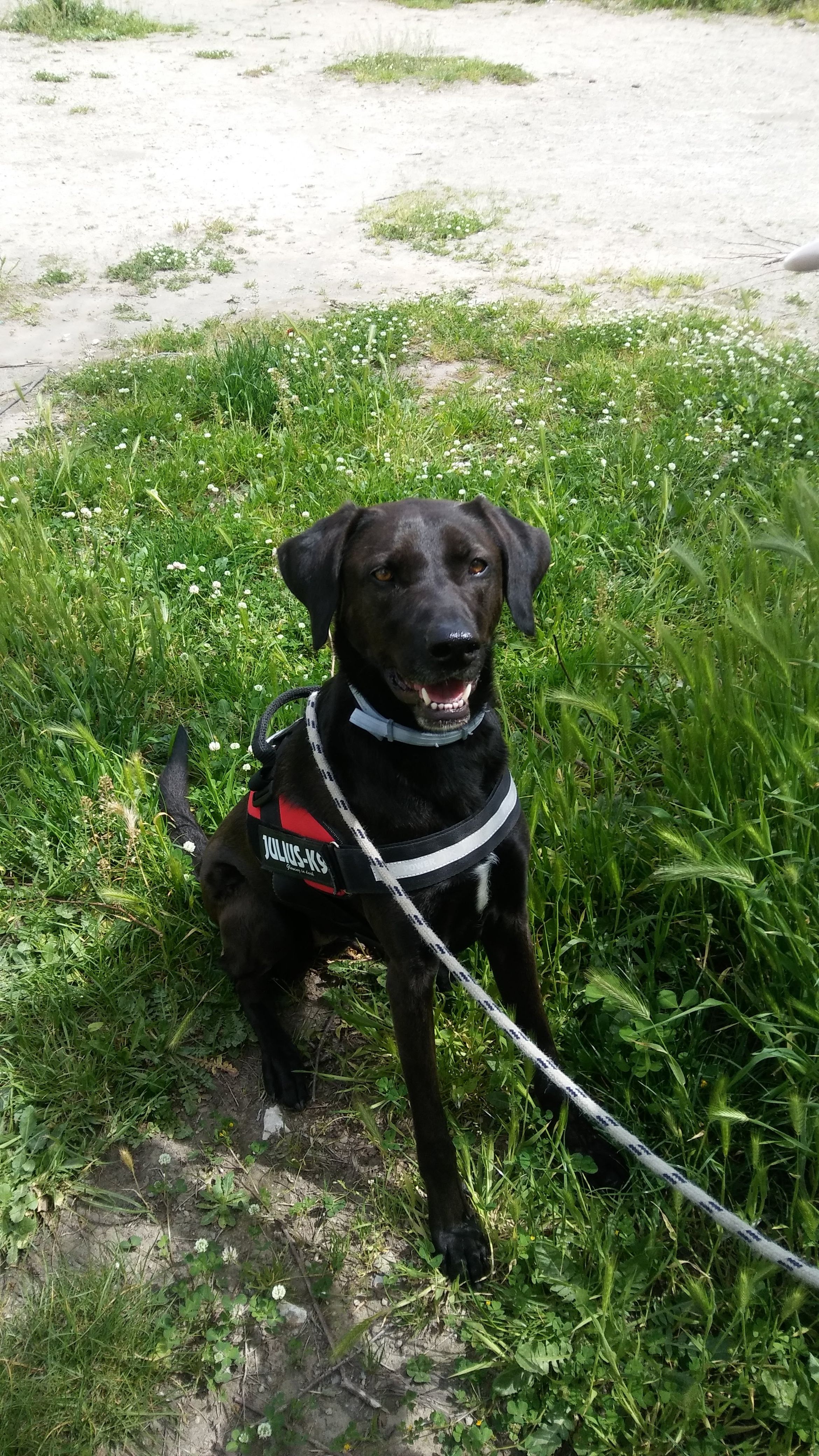 image-7