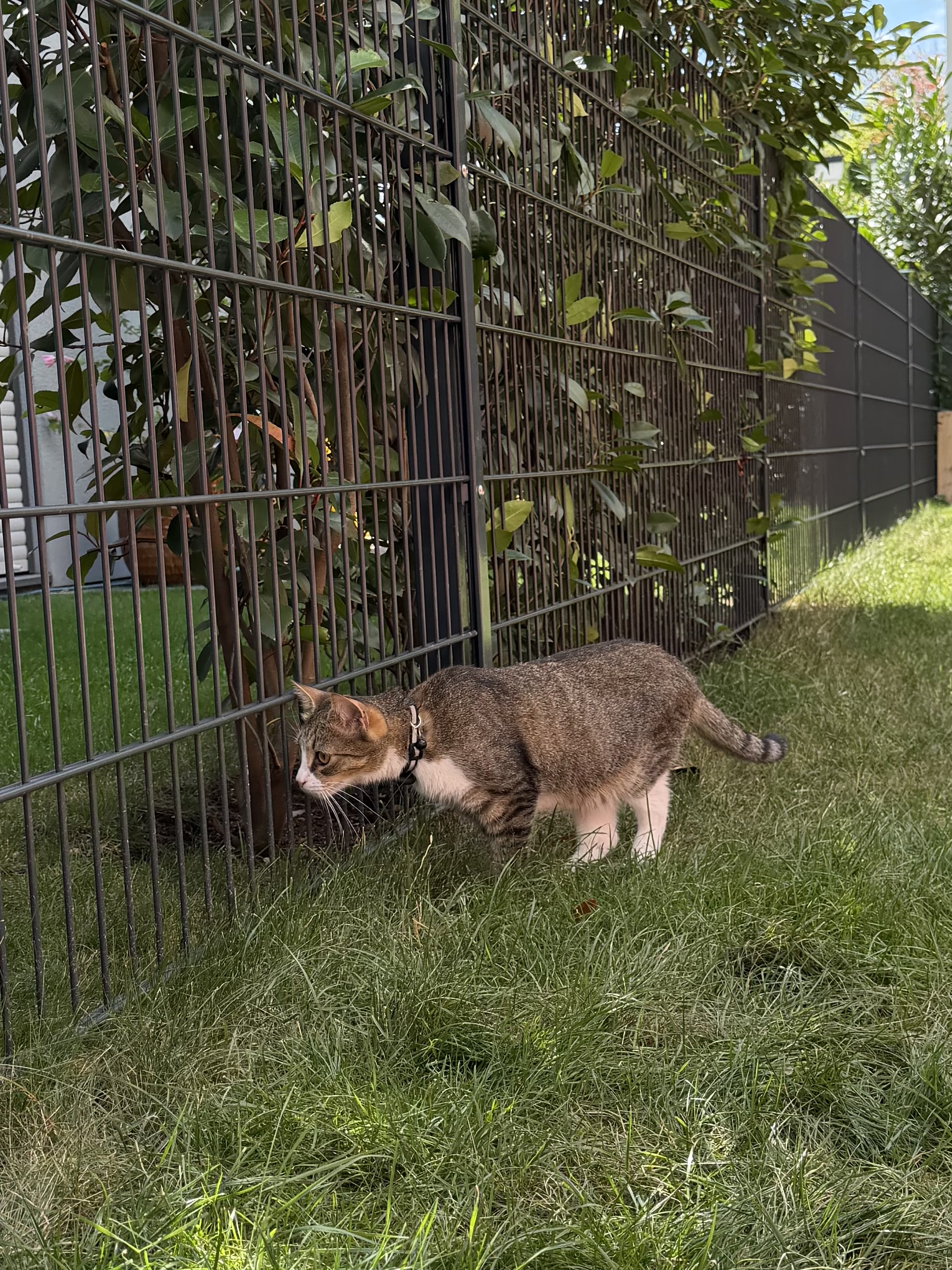 image-93
