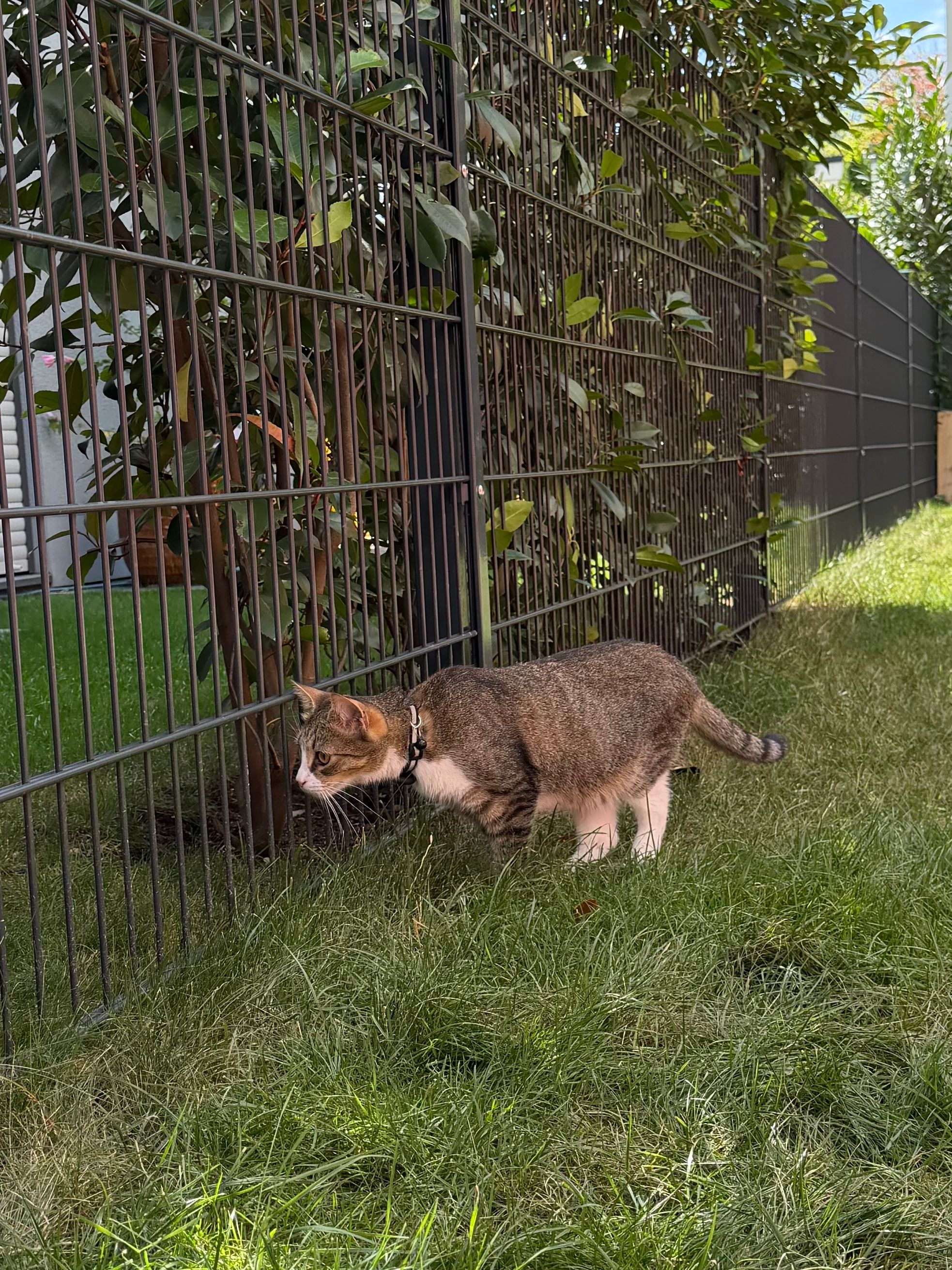 image-93