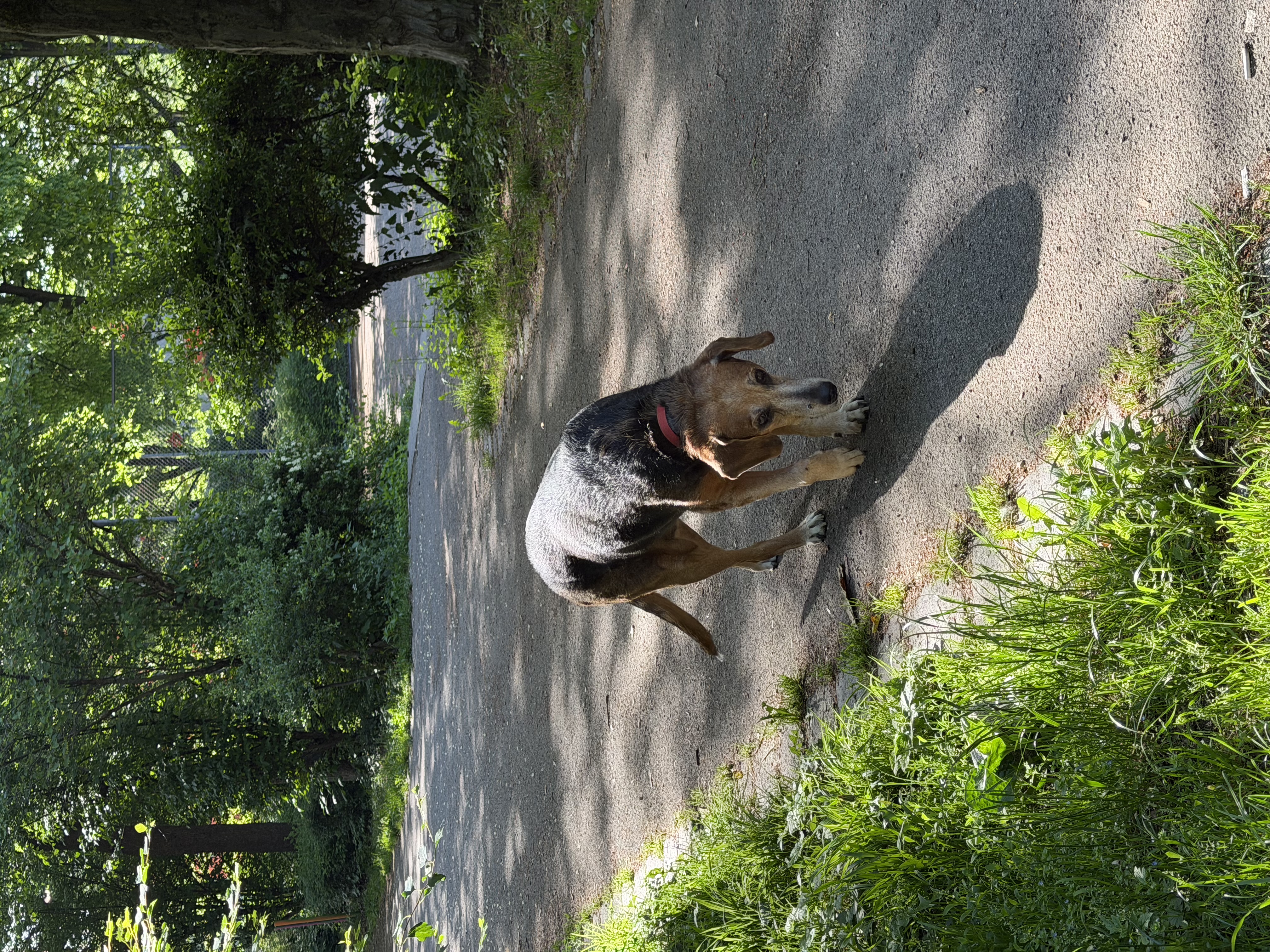 image-69