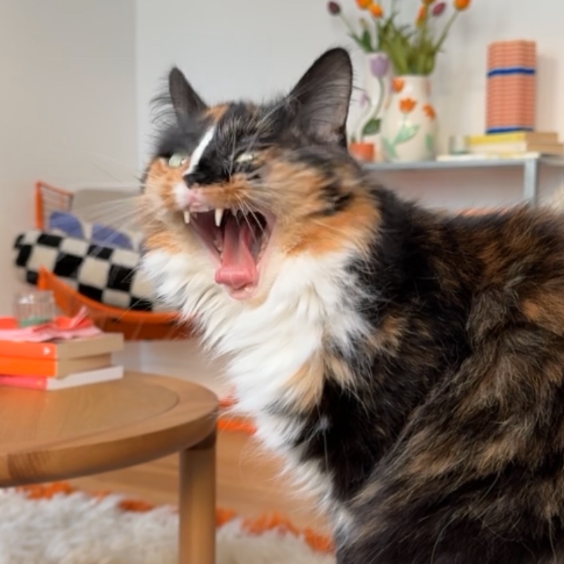 Mia