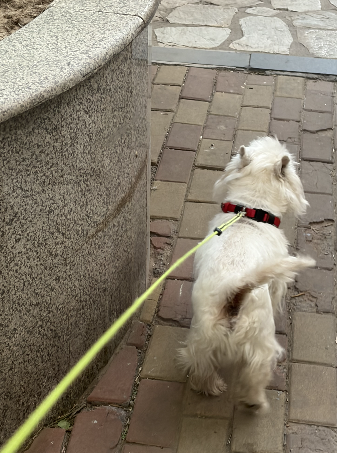 image-22