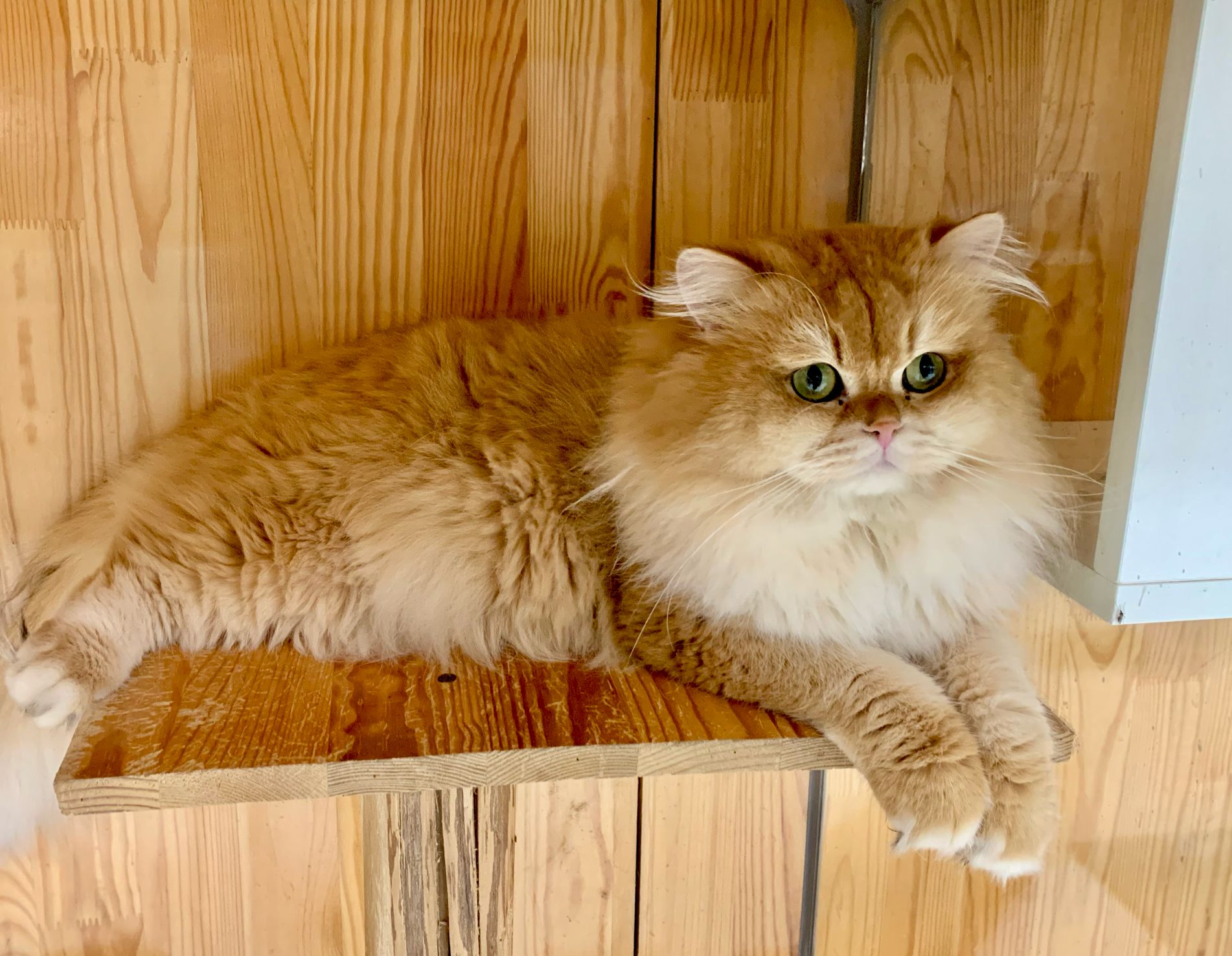 image-2