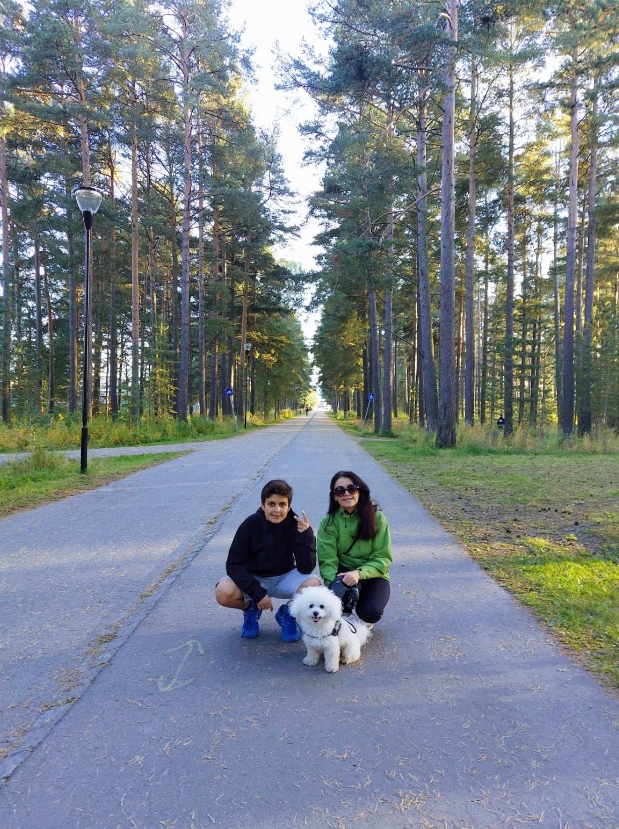 image-7