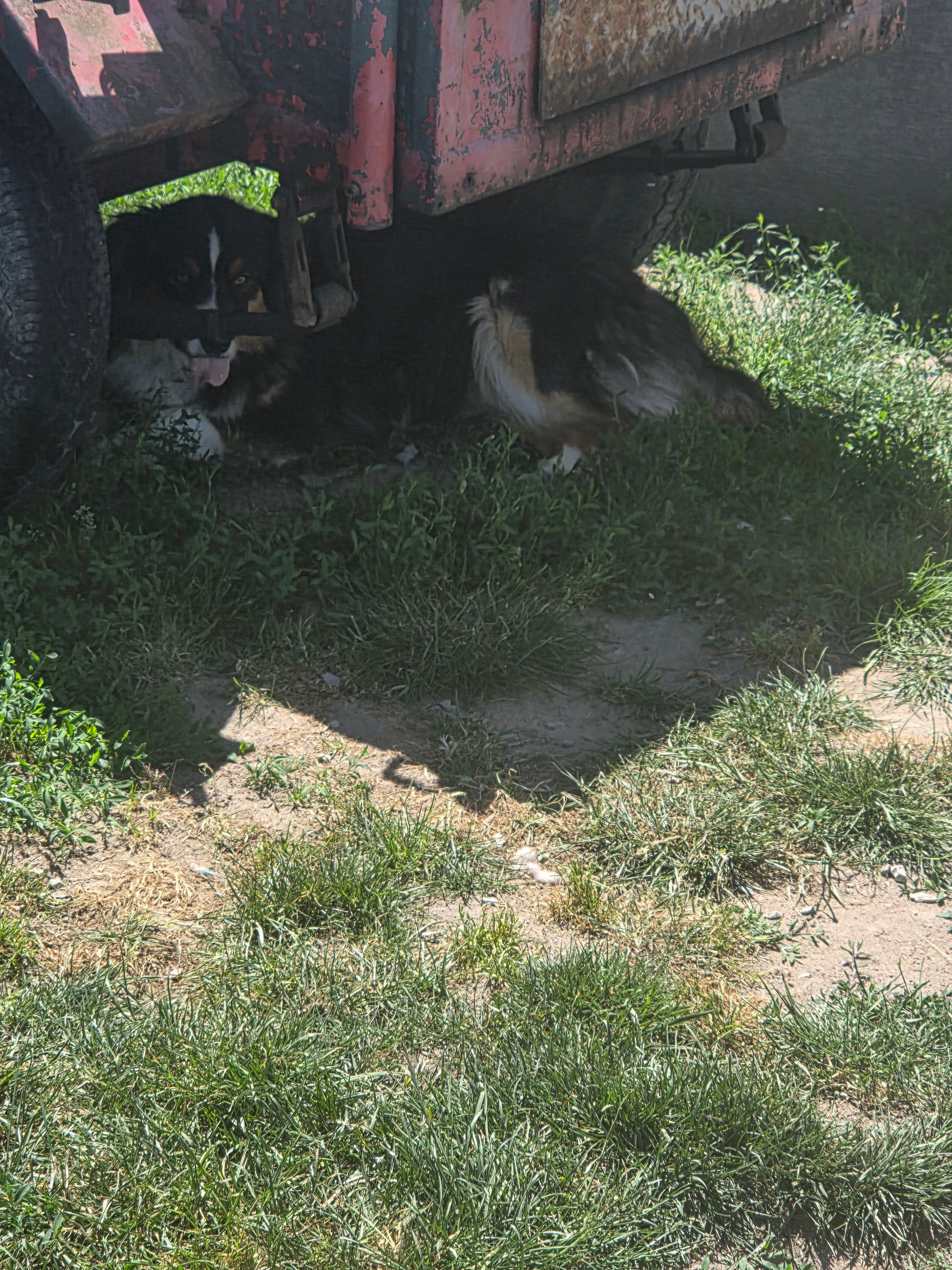 image-7