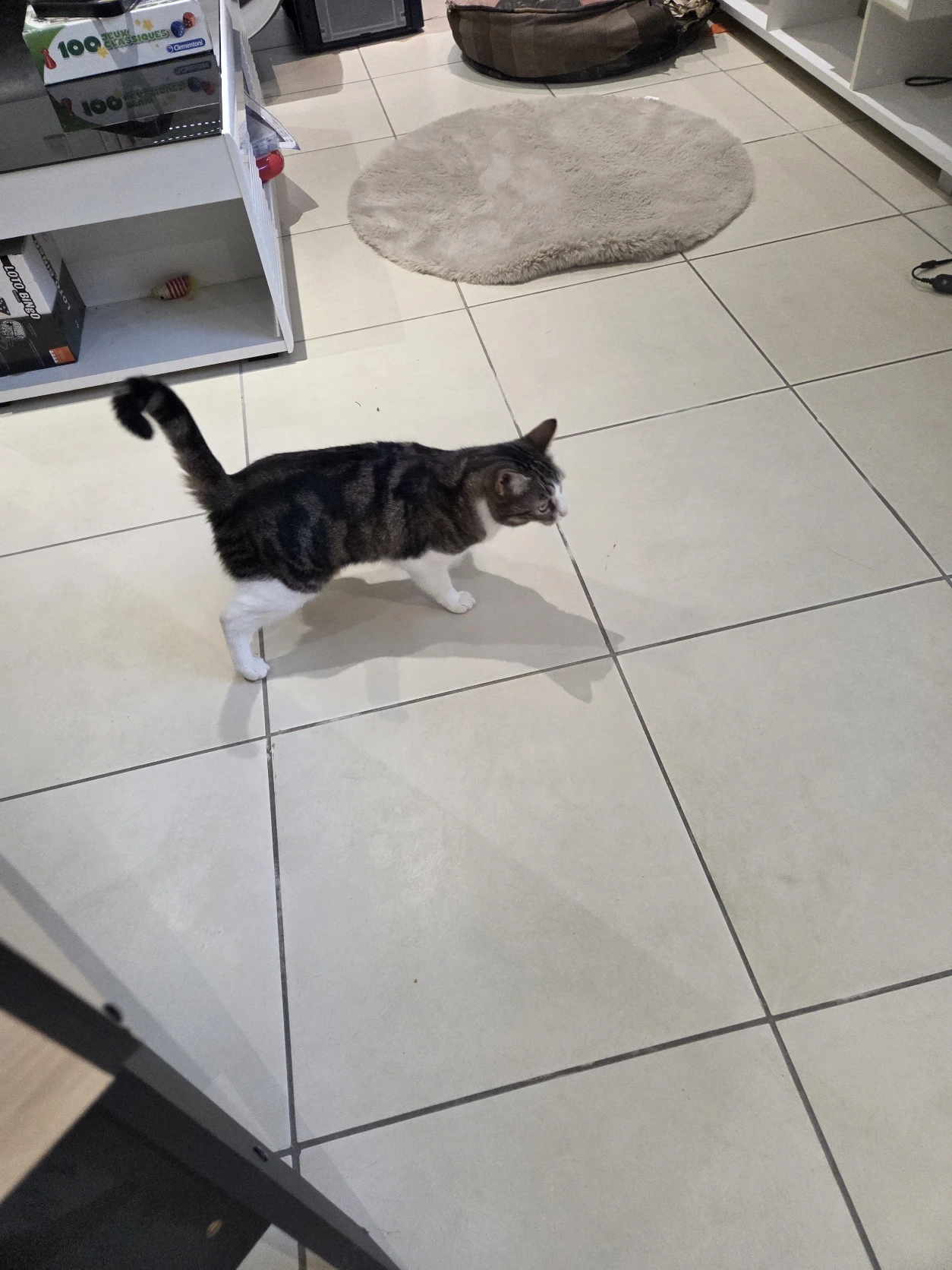 image-6