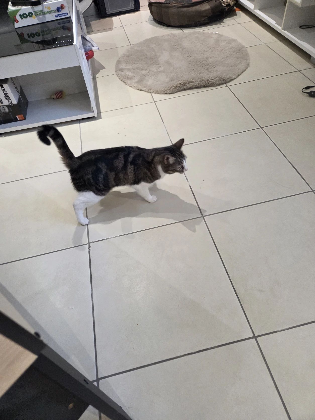 image-6