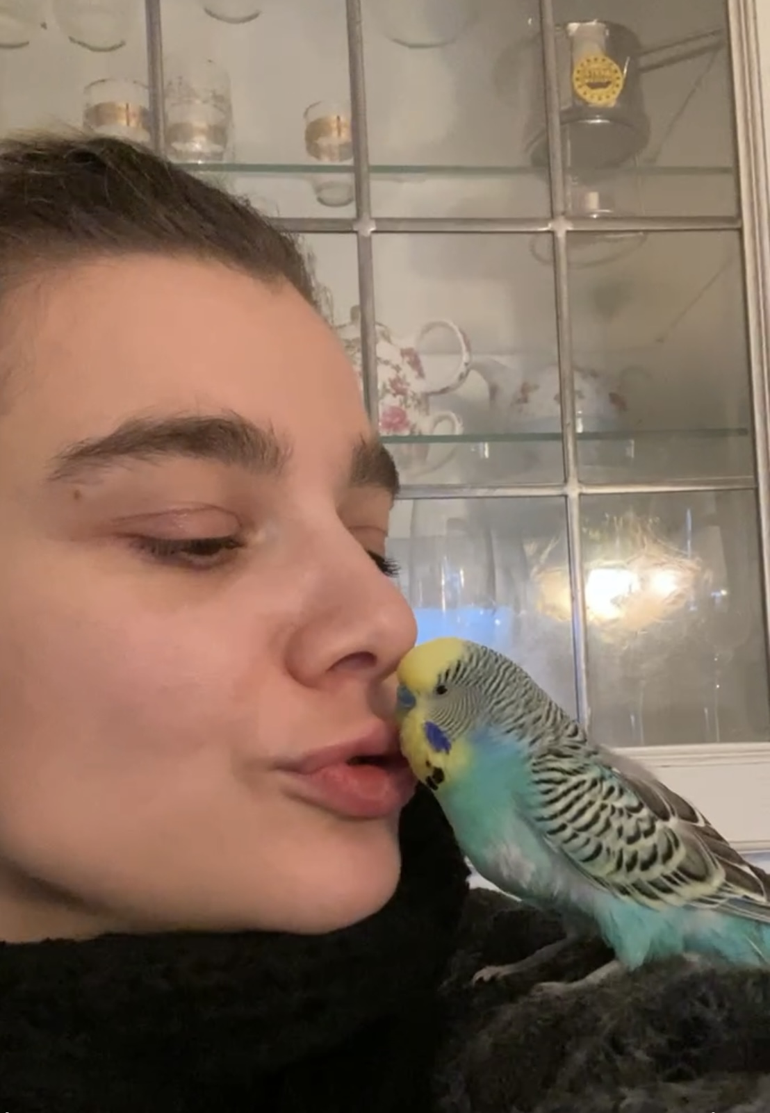 image-6