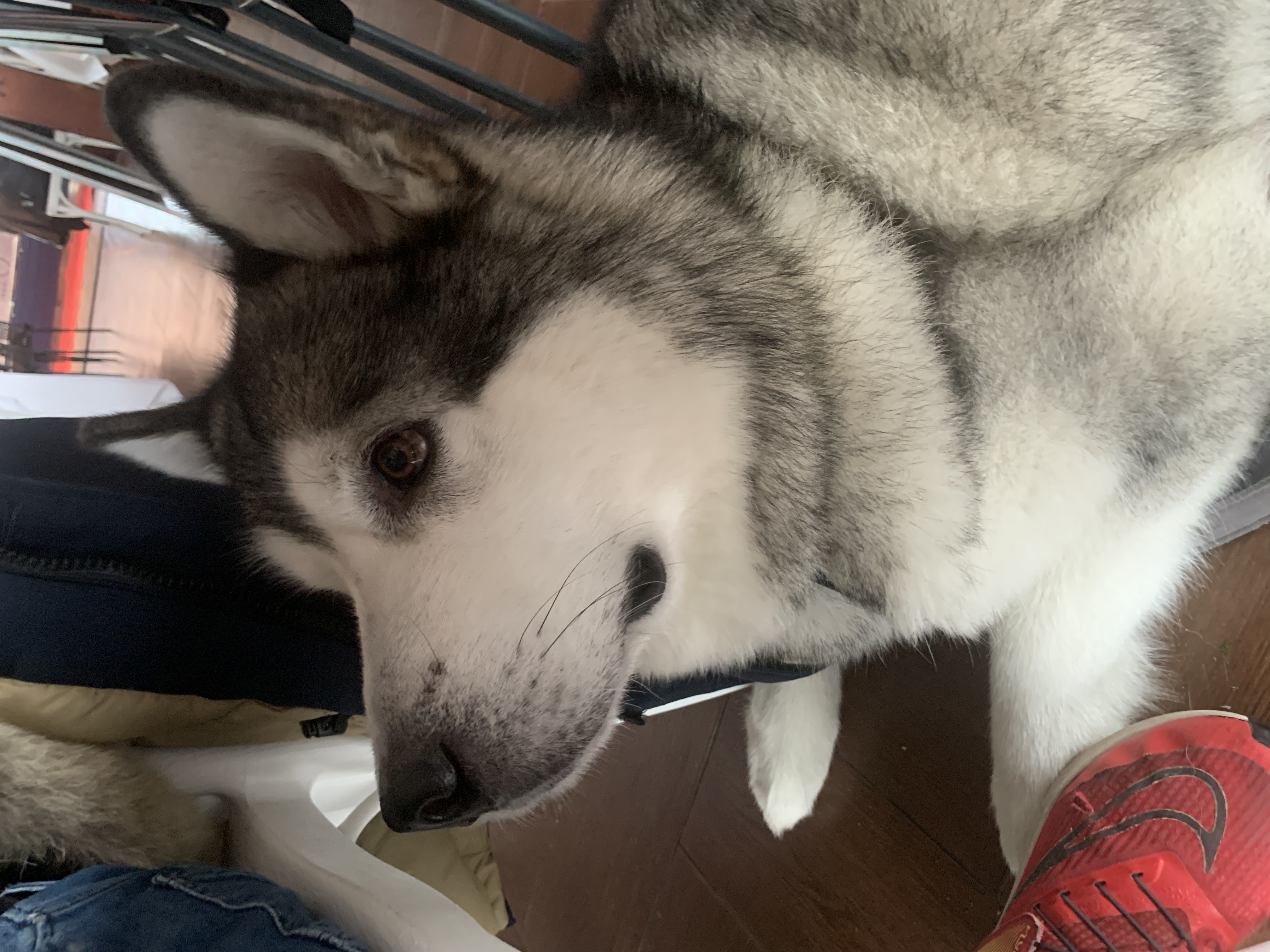 image-9
