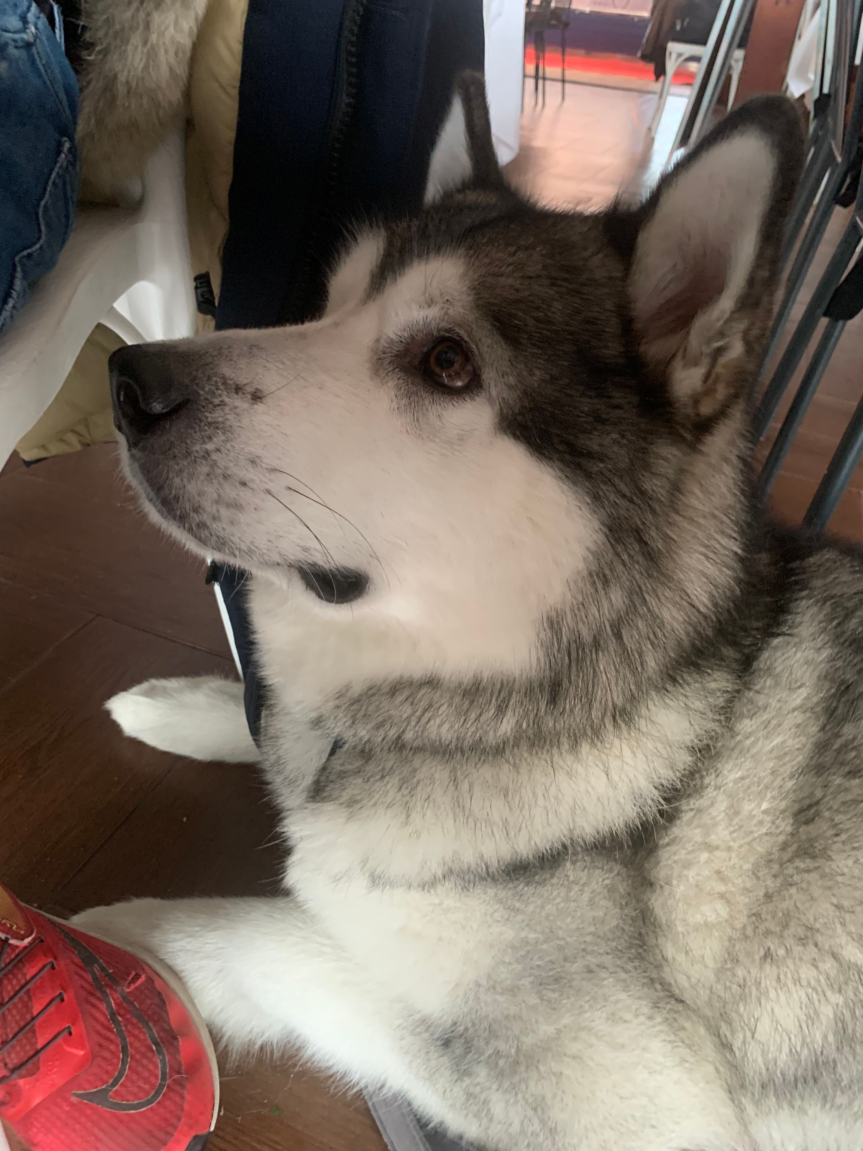 image-9