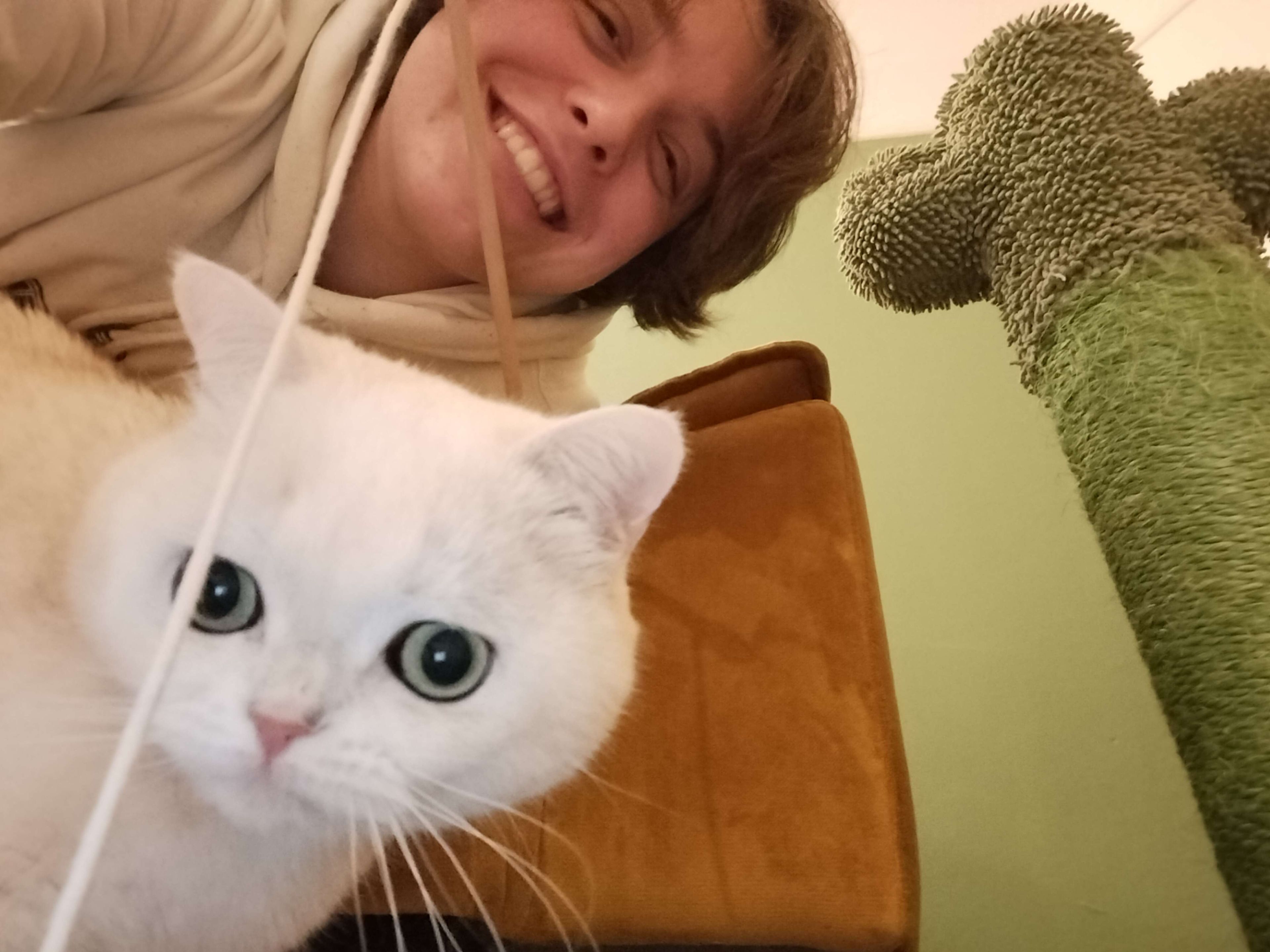 image-8