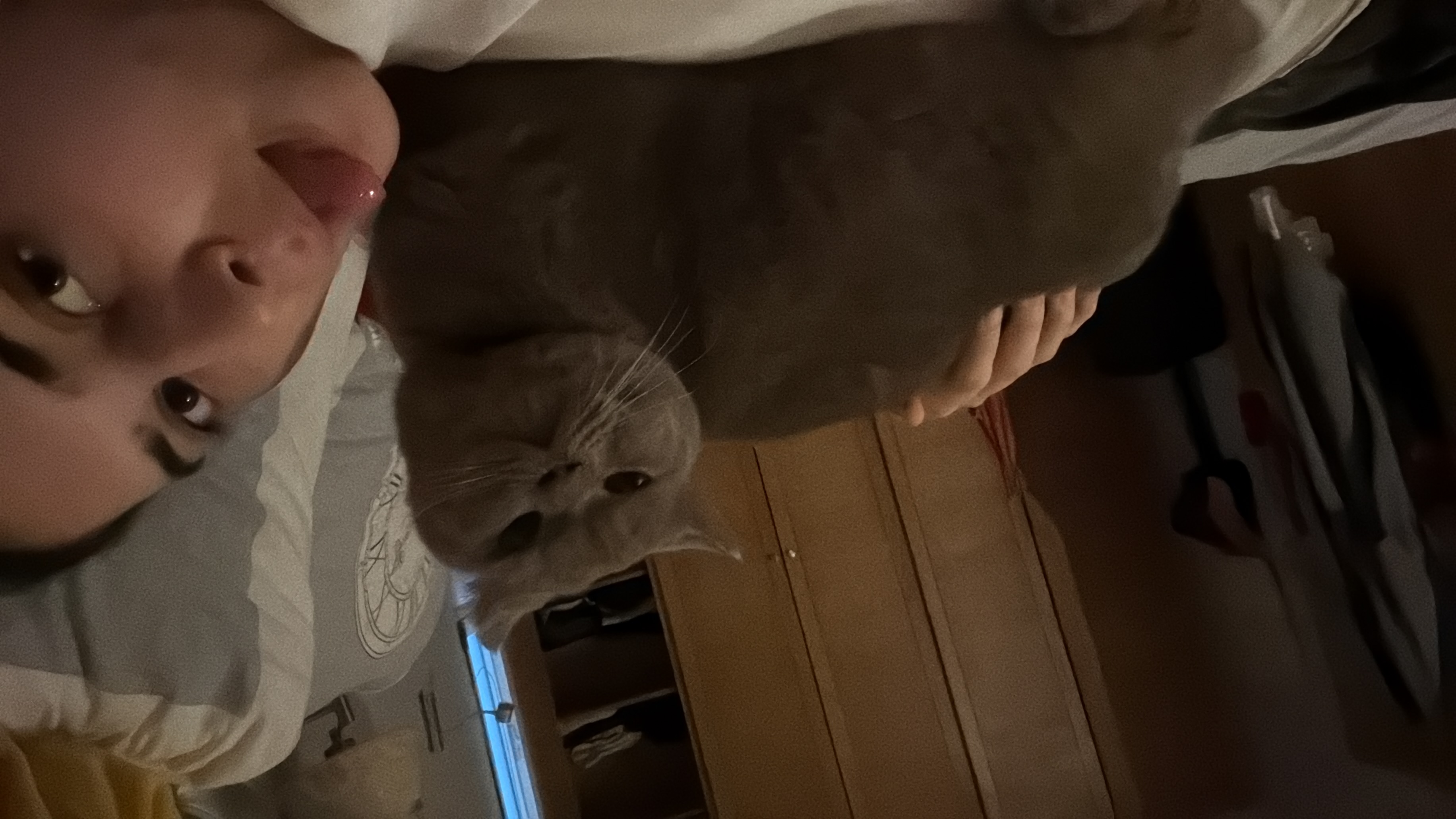 image-4