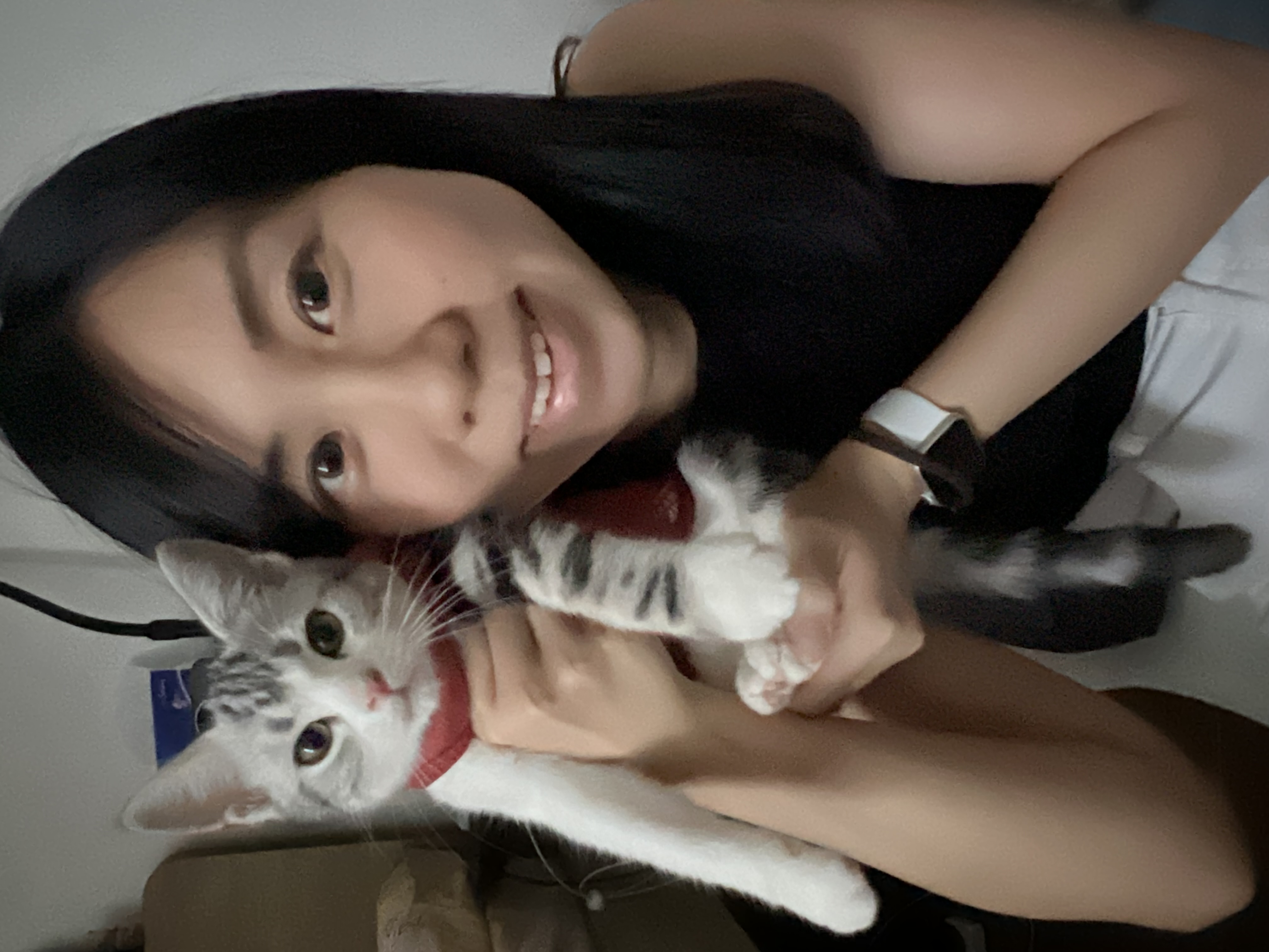 image-6