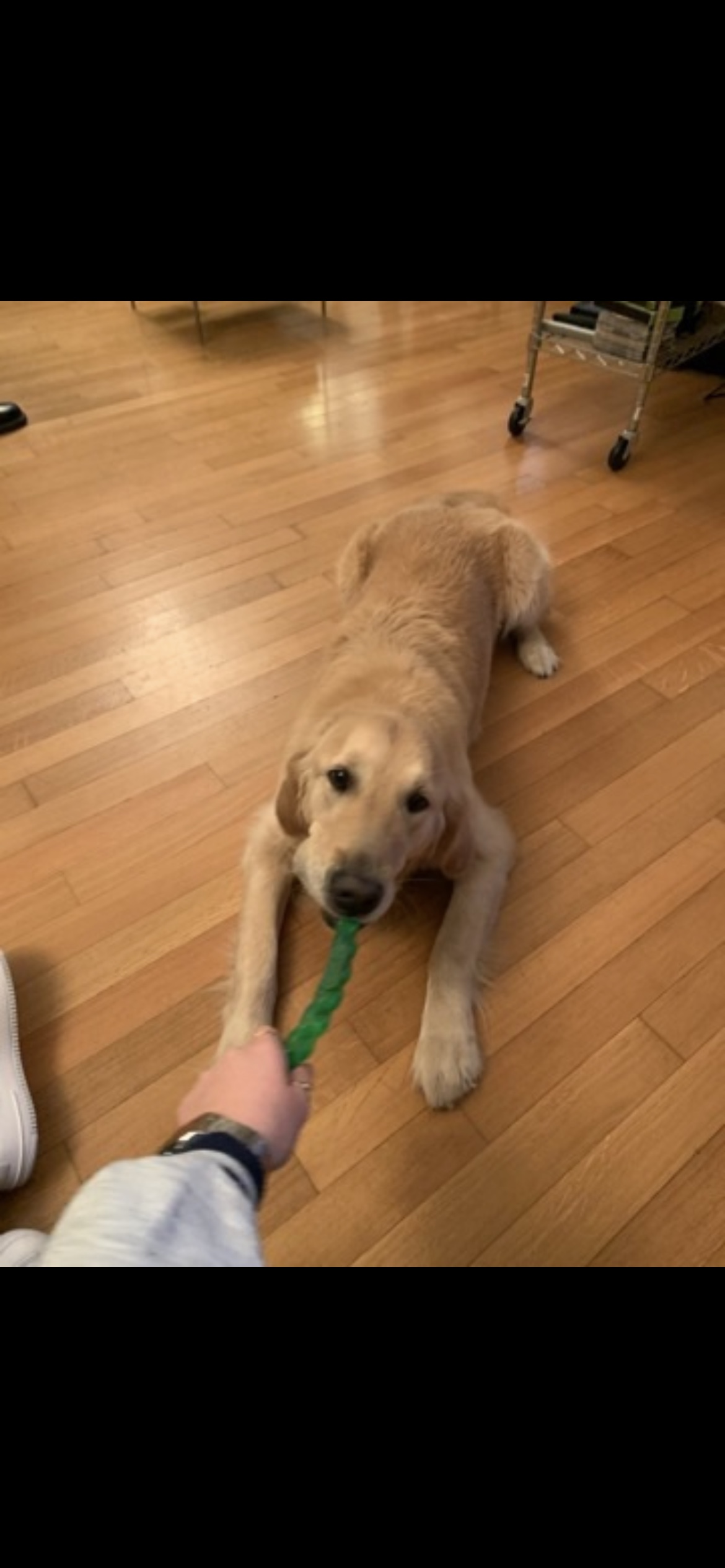 image-8