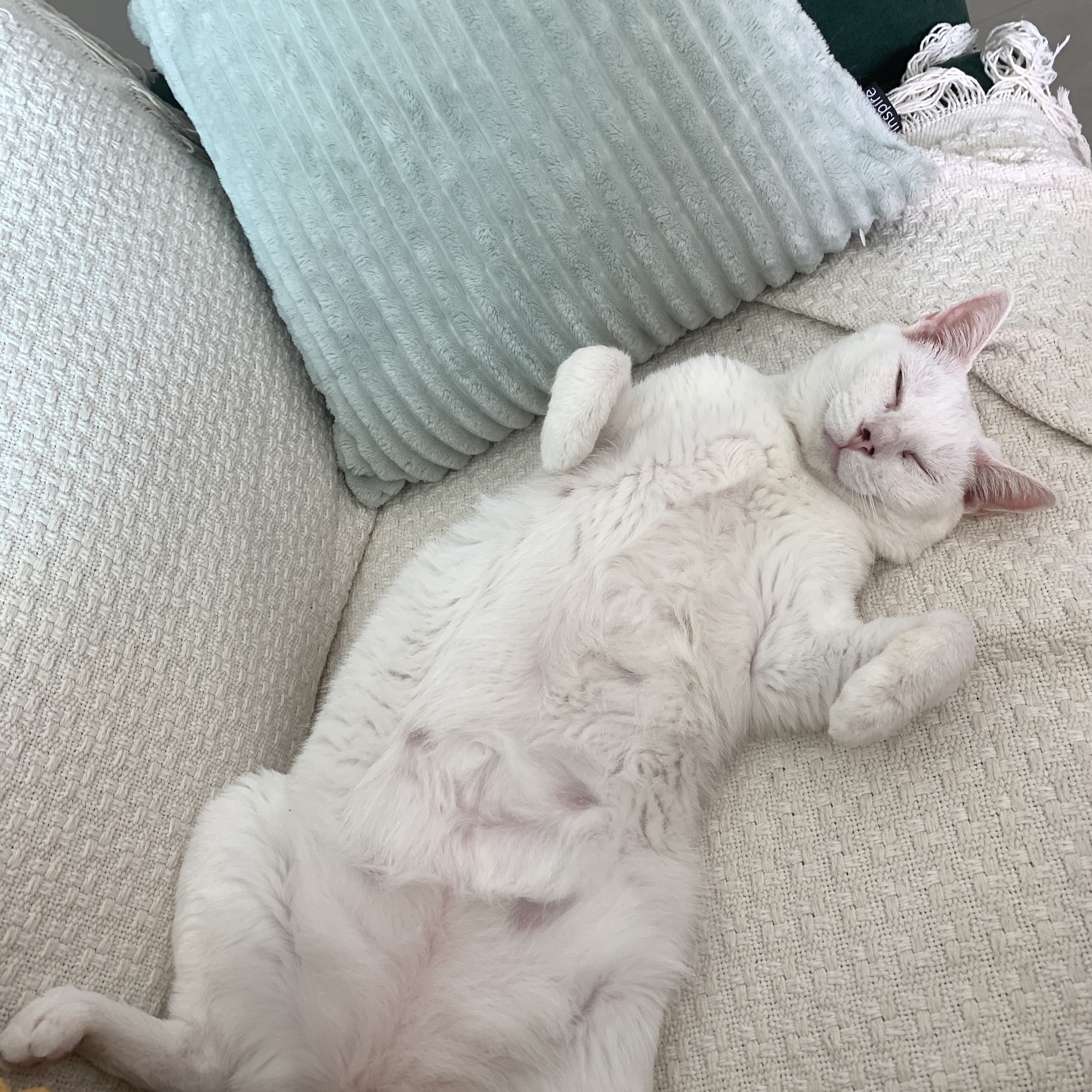 Yuki