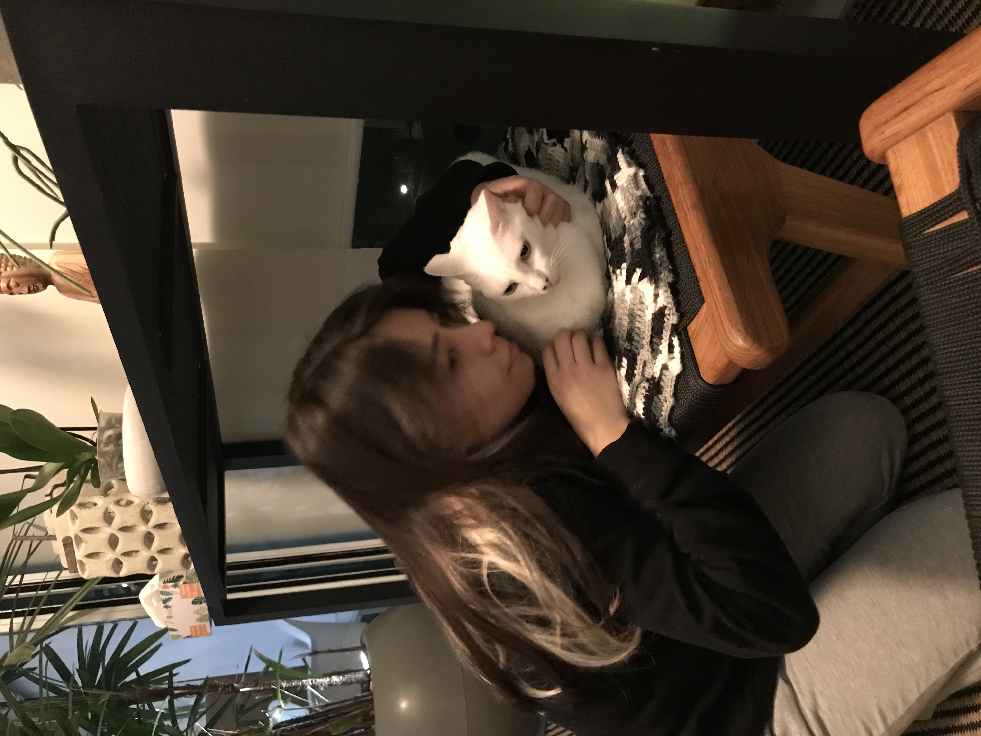 image-3