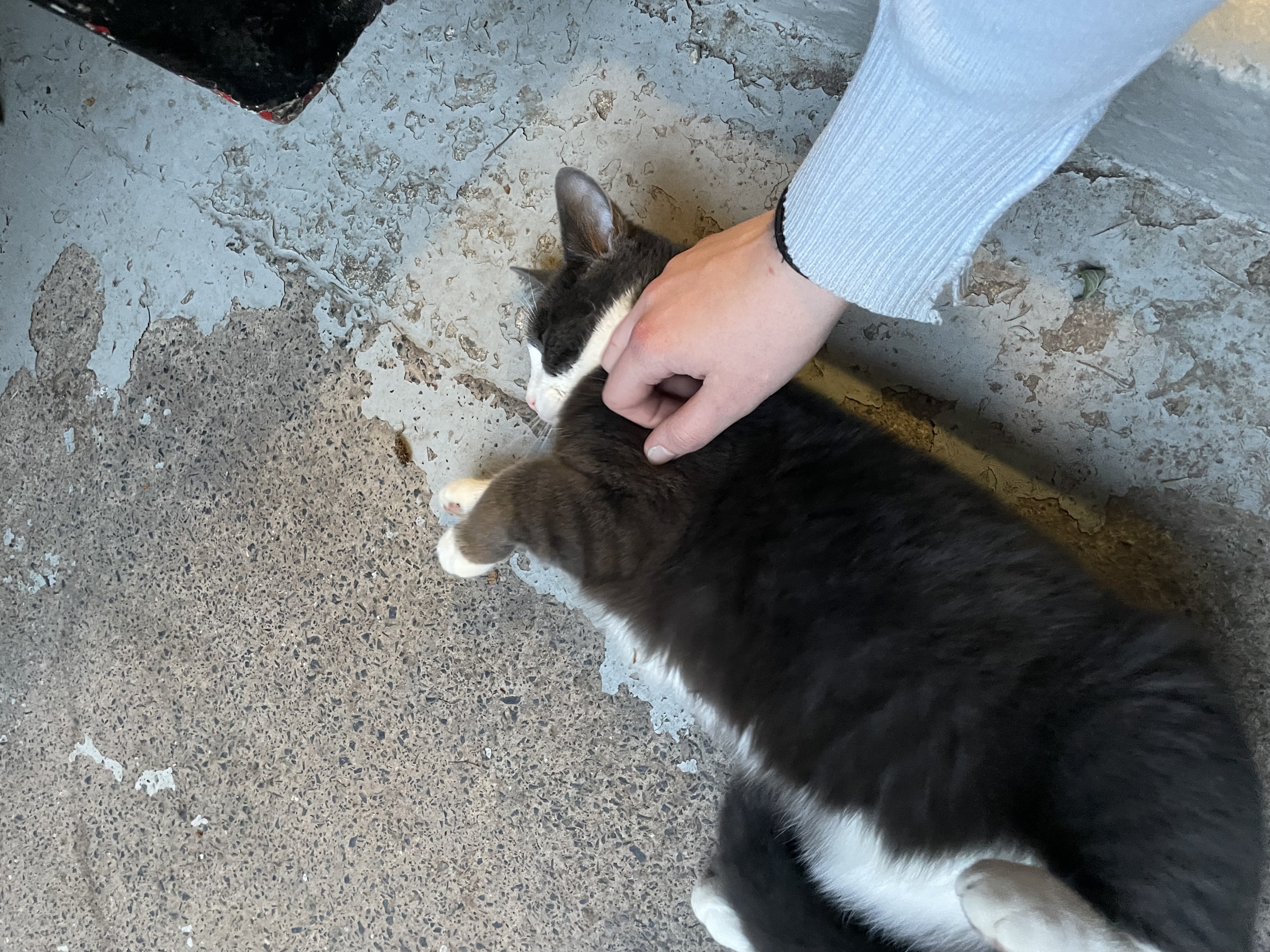 image-6
