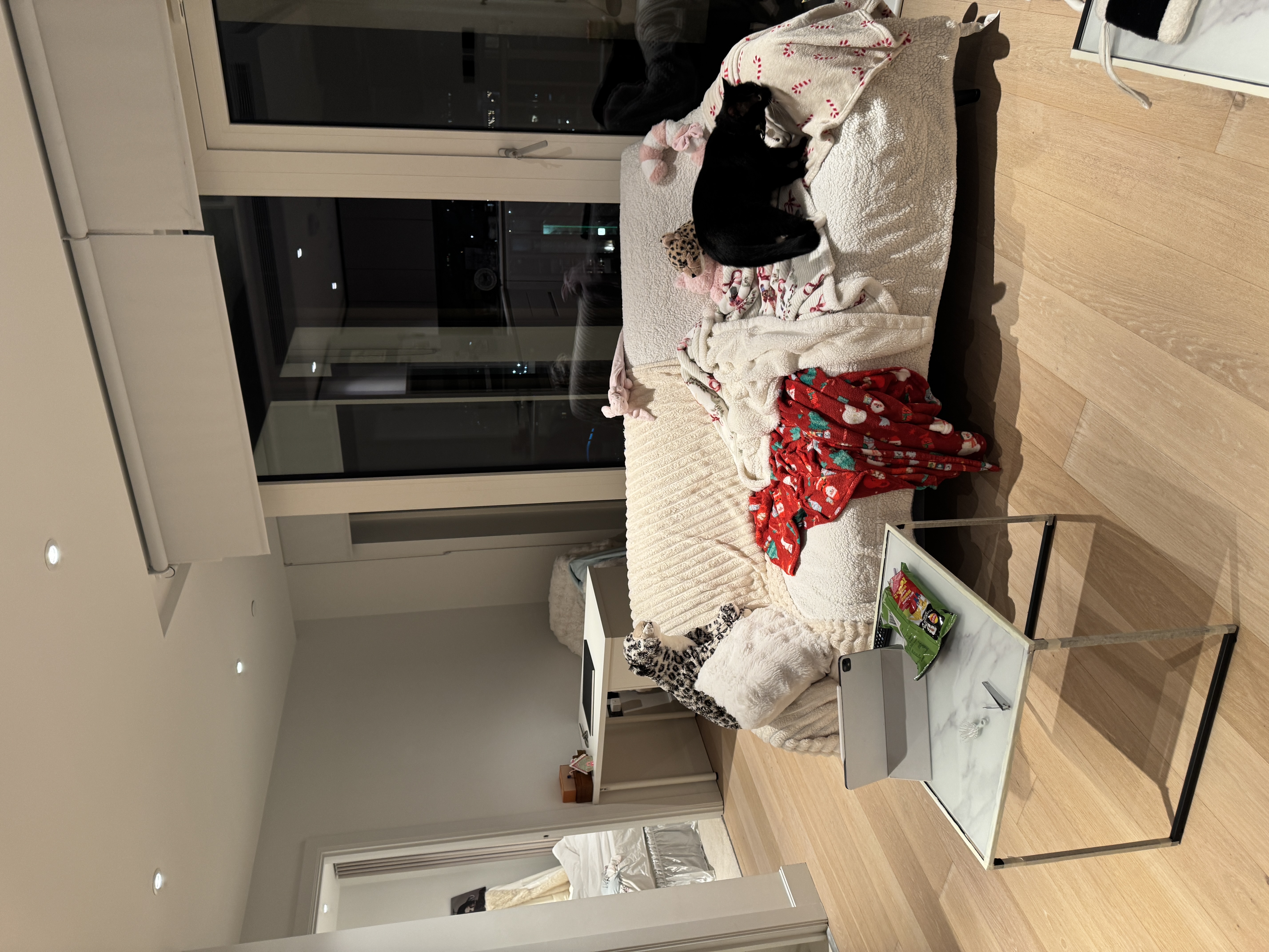 image-19