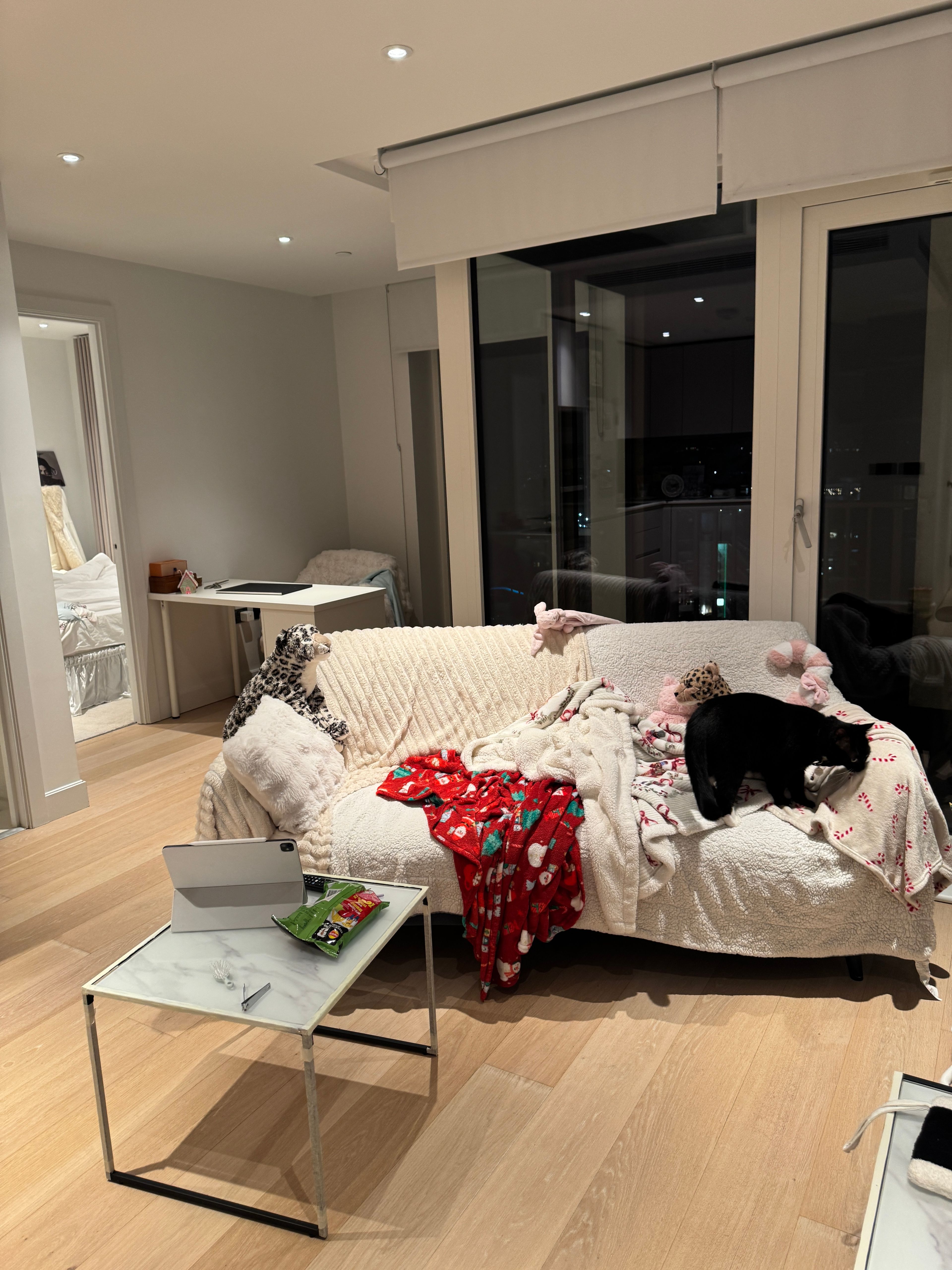 image-19