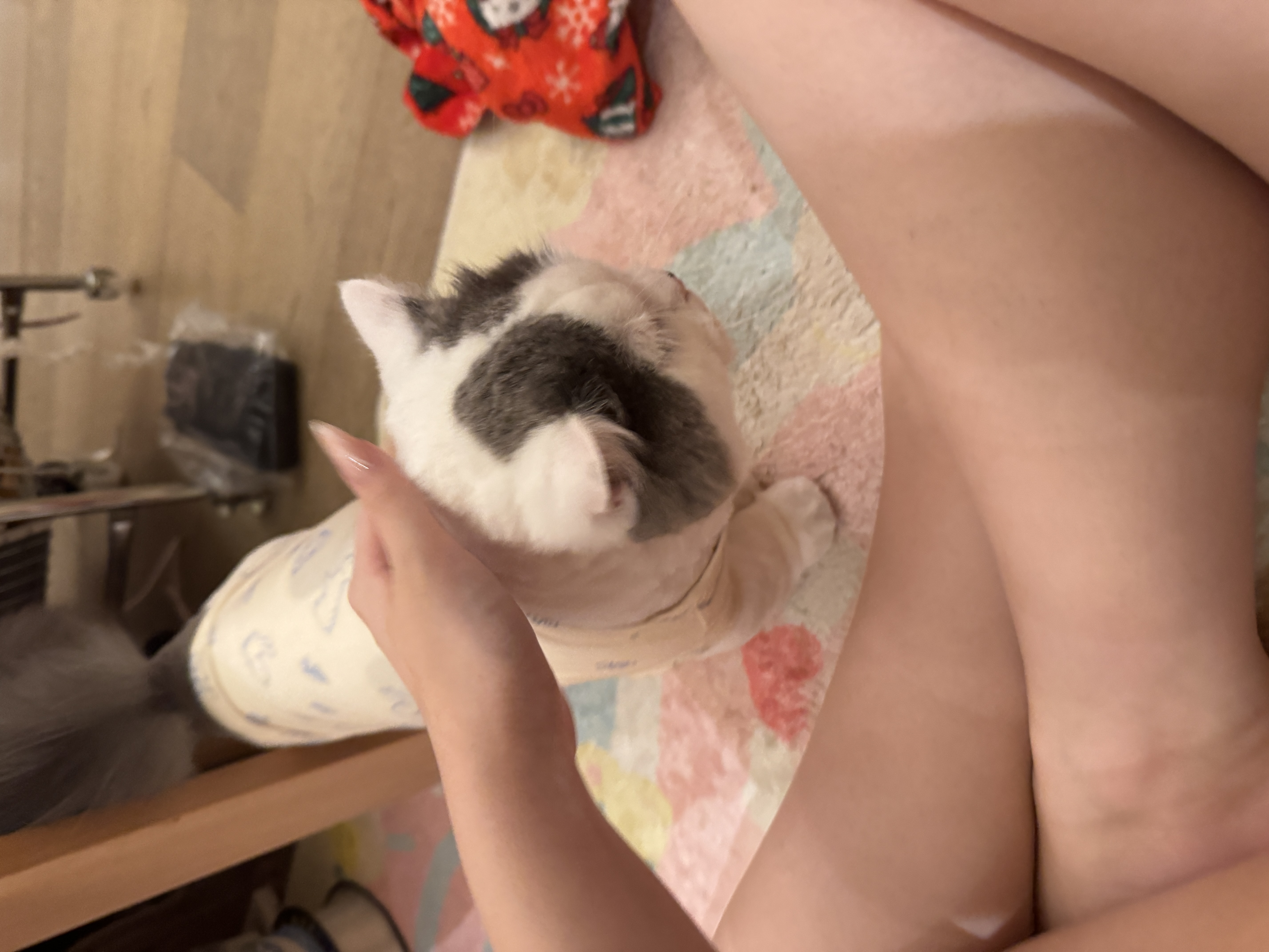 image-10
