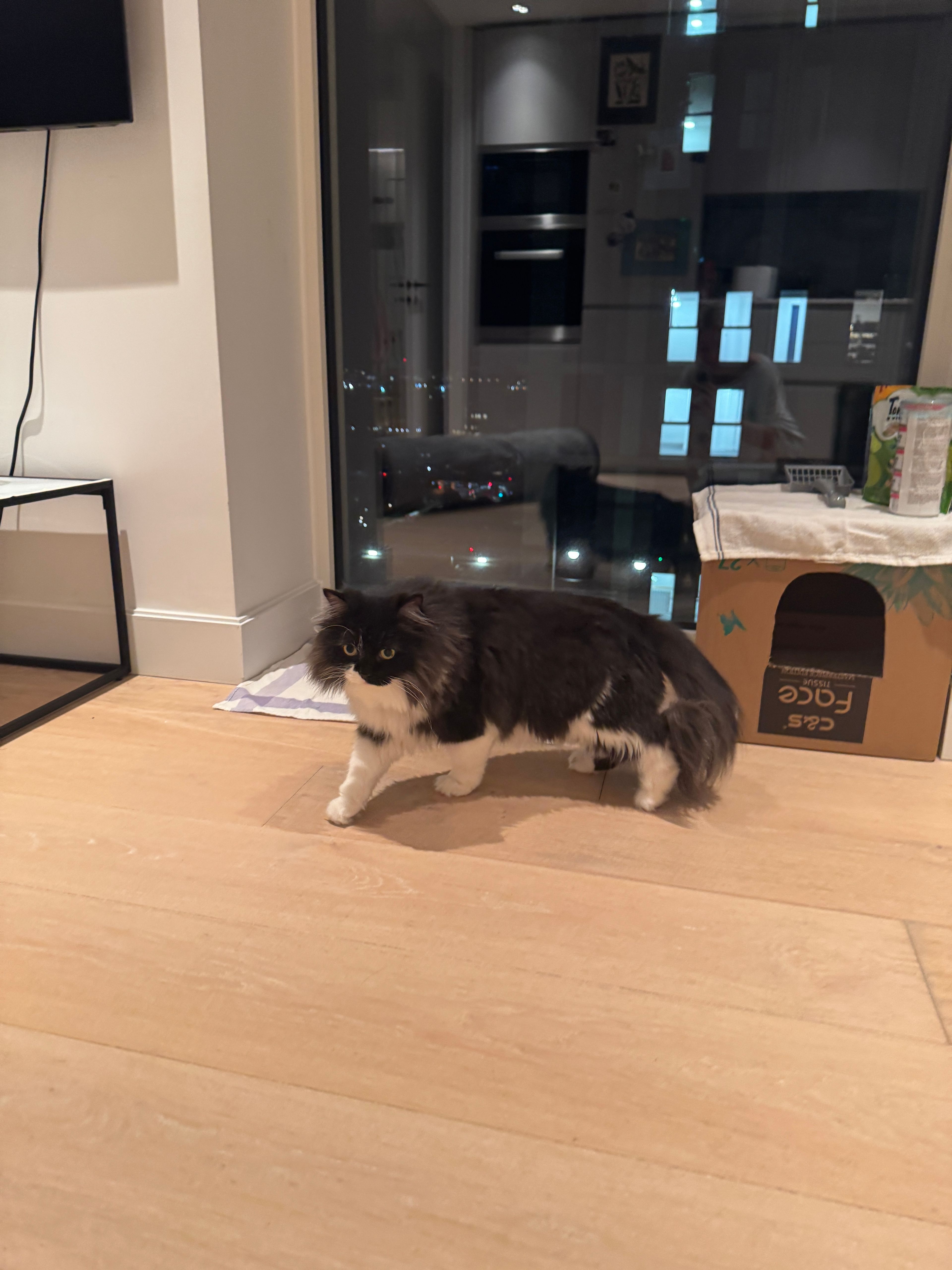 image-13