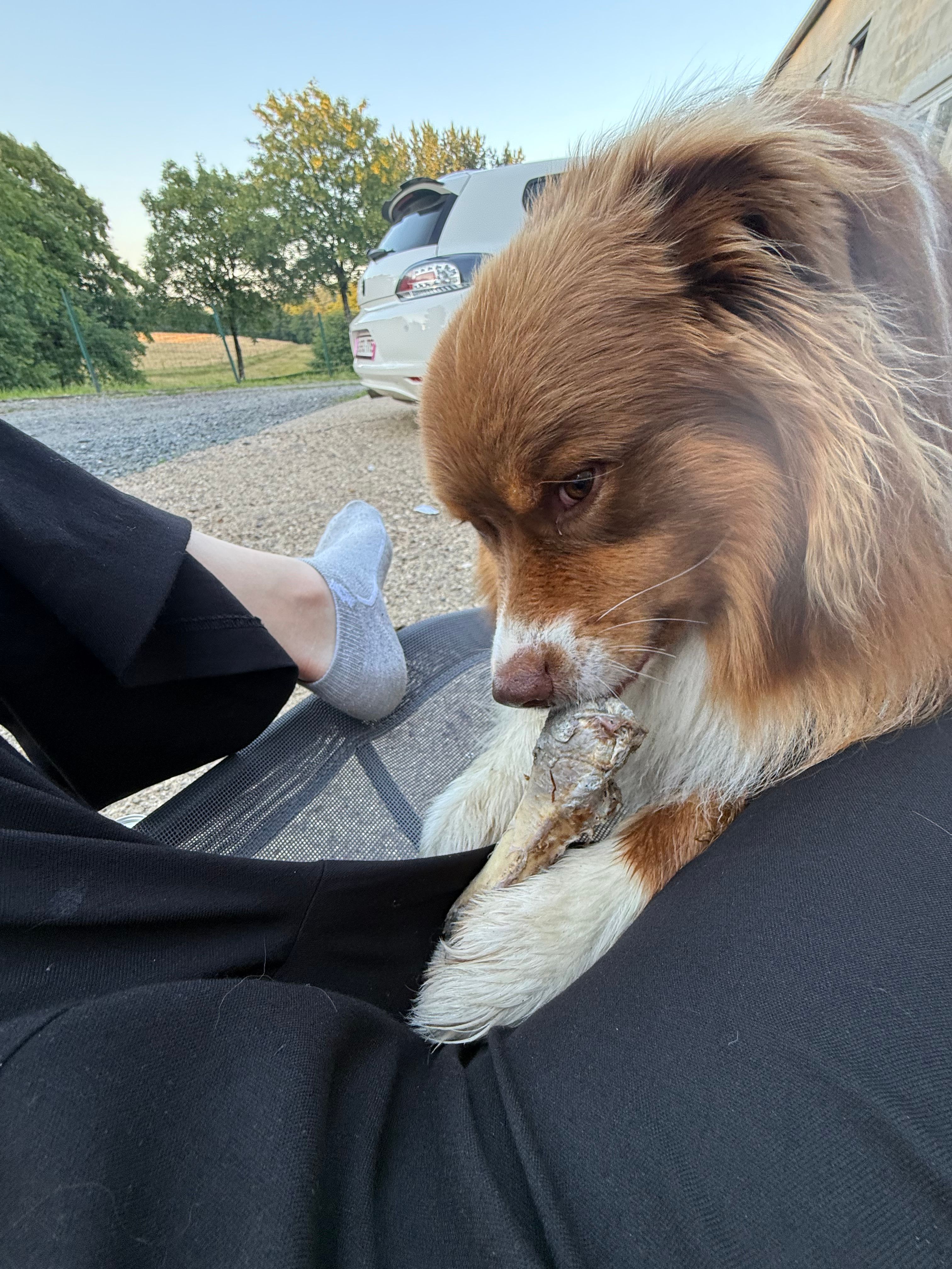 image-8