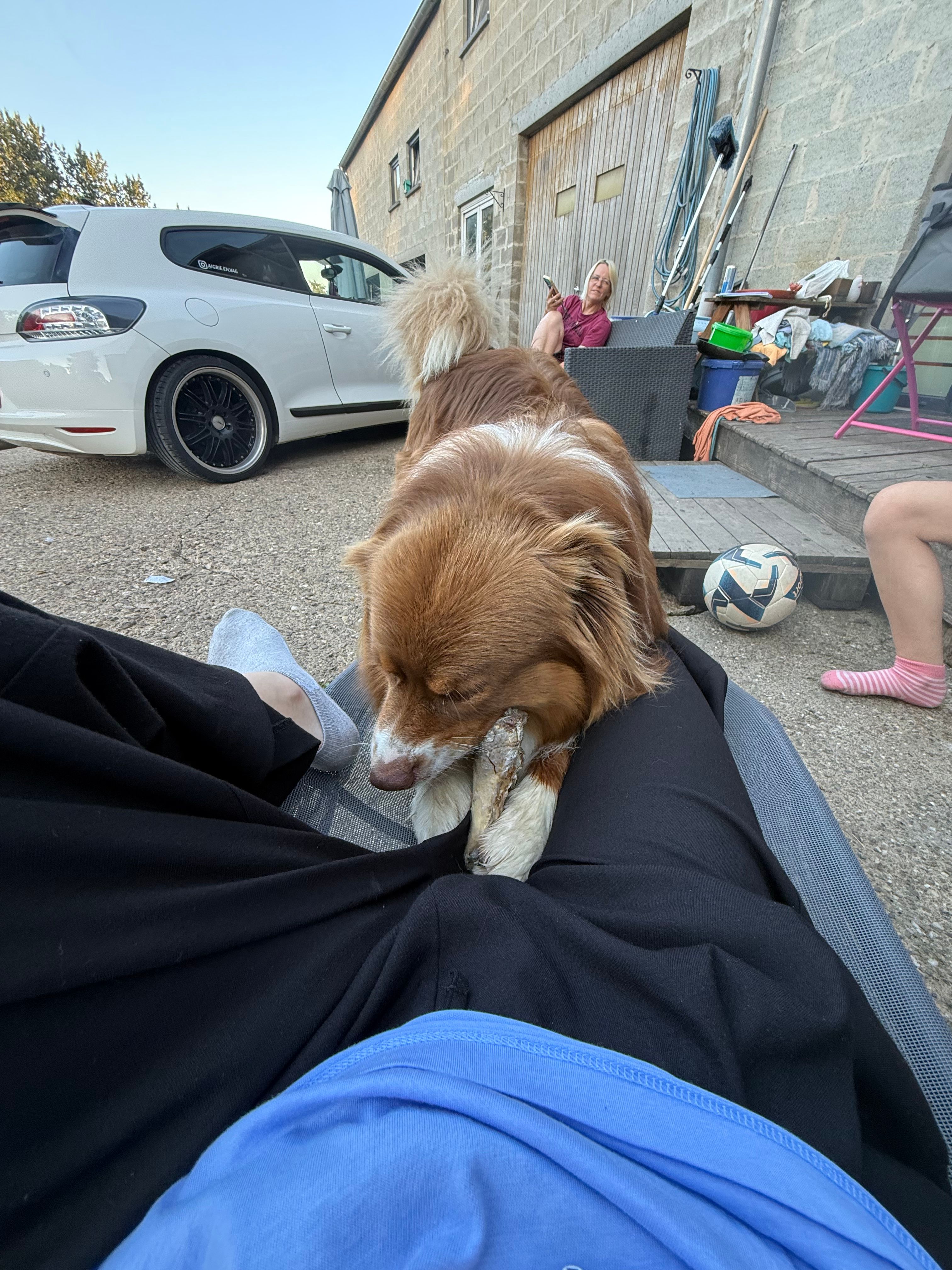 image-12