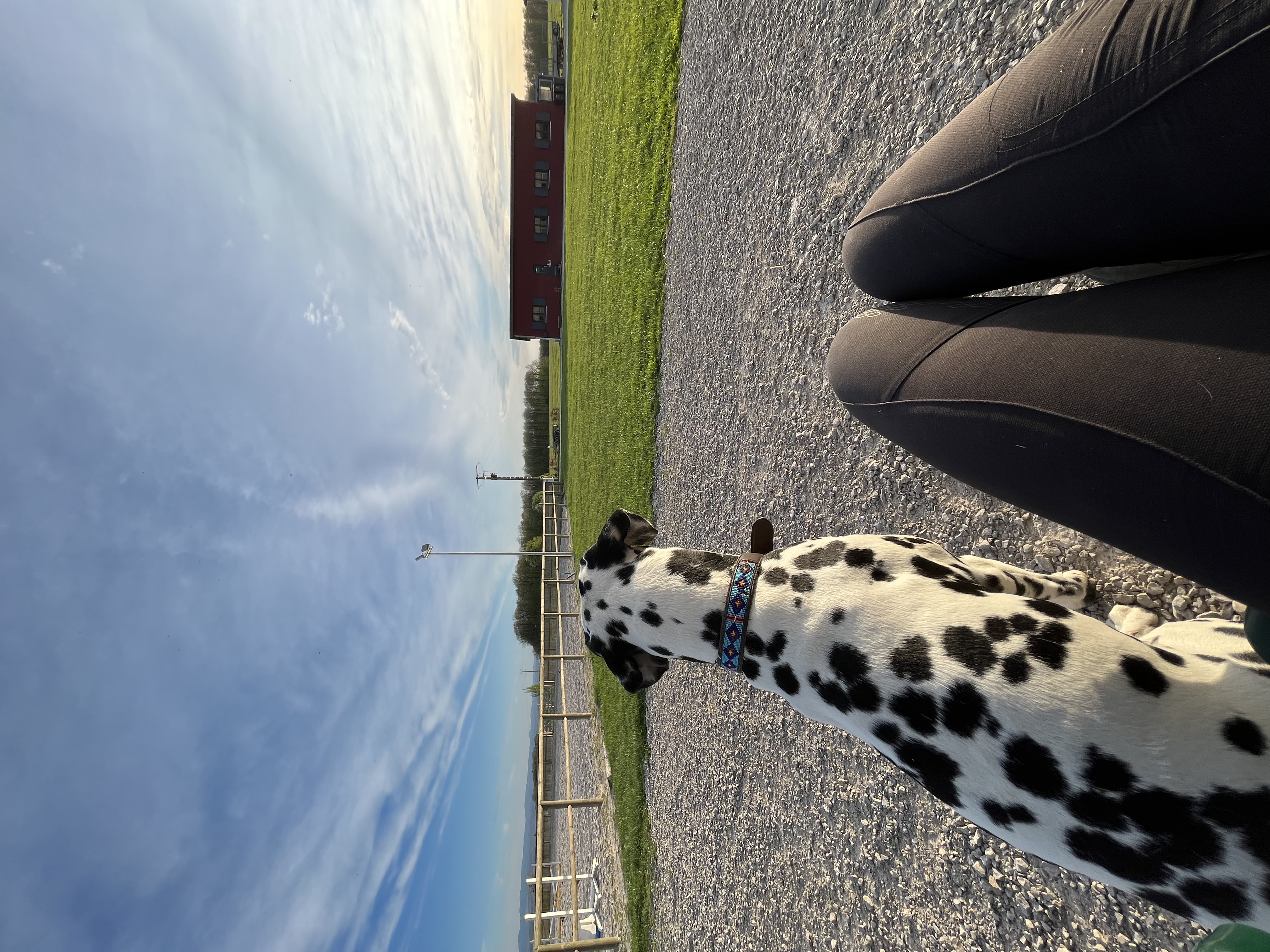image-7
