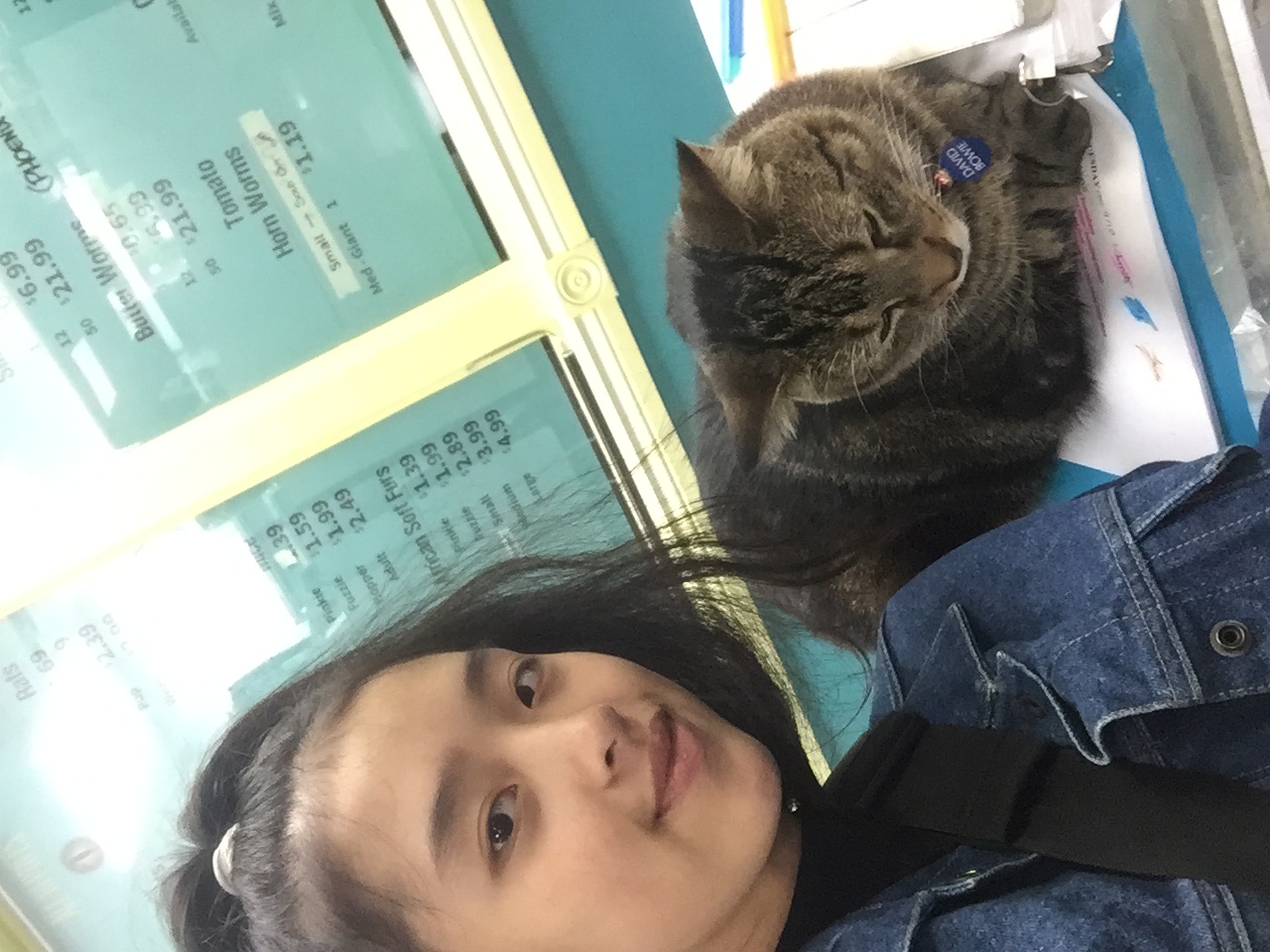 image-9