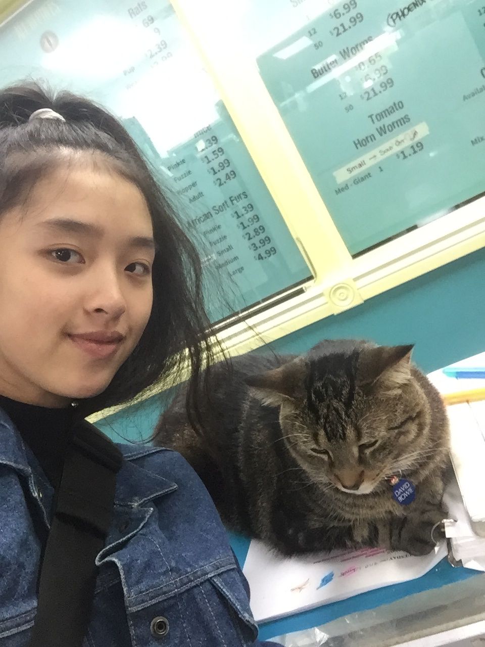 image-9