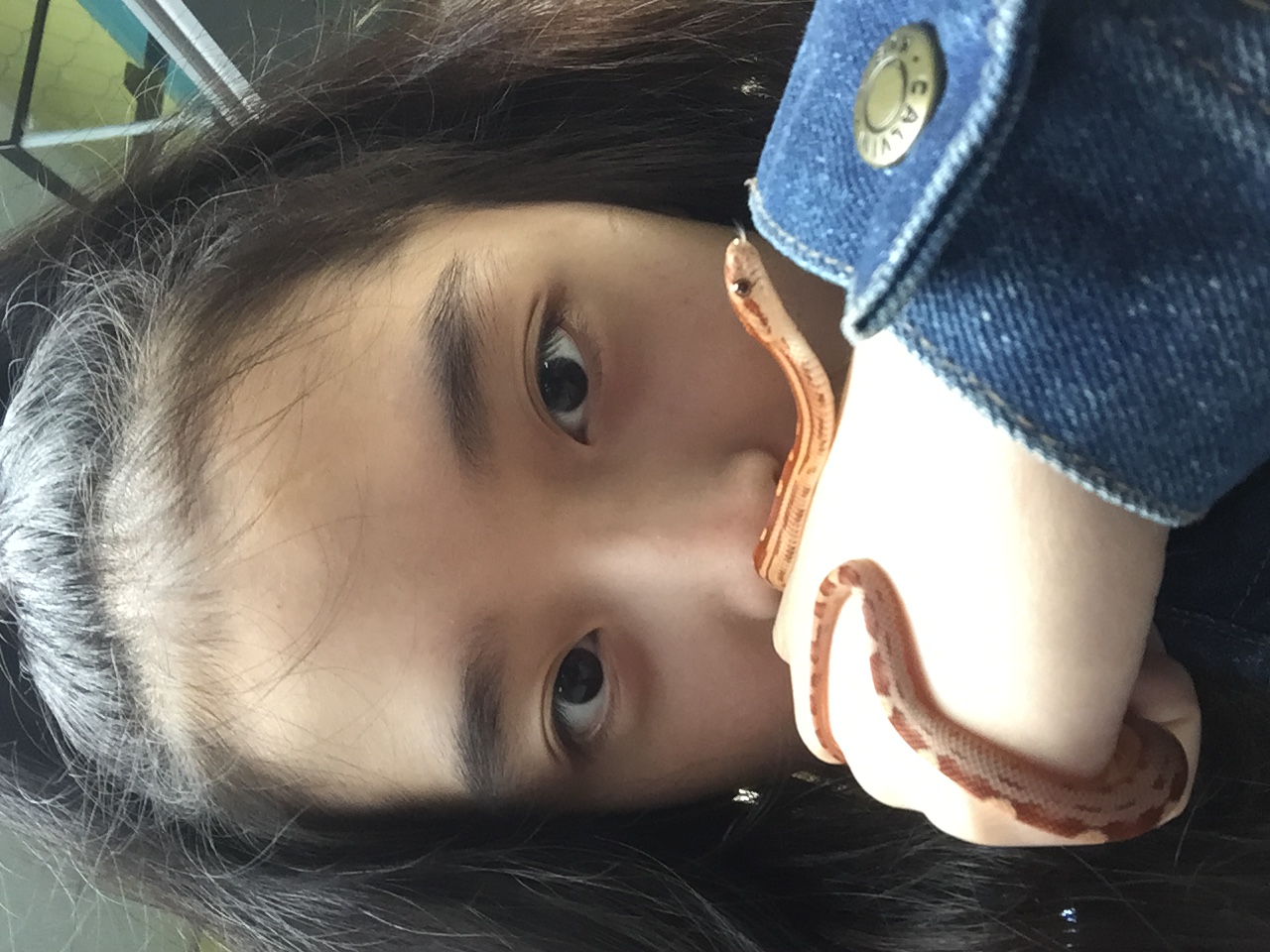 image-4