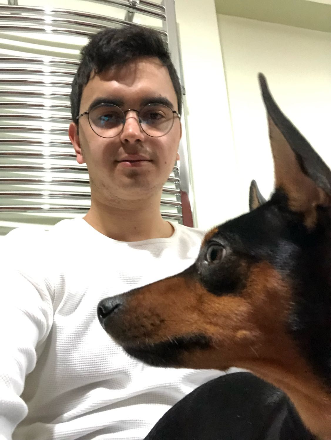image-8