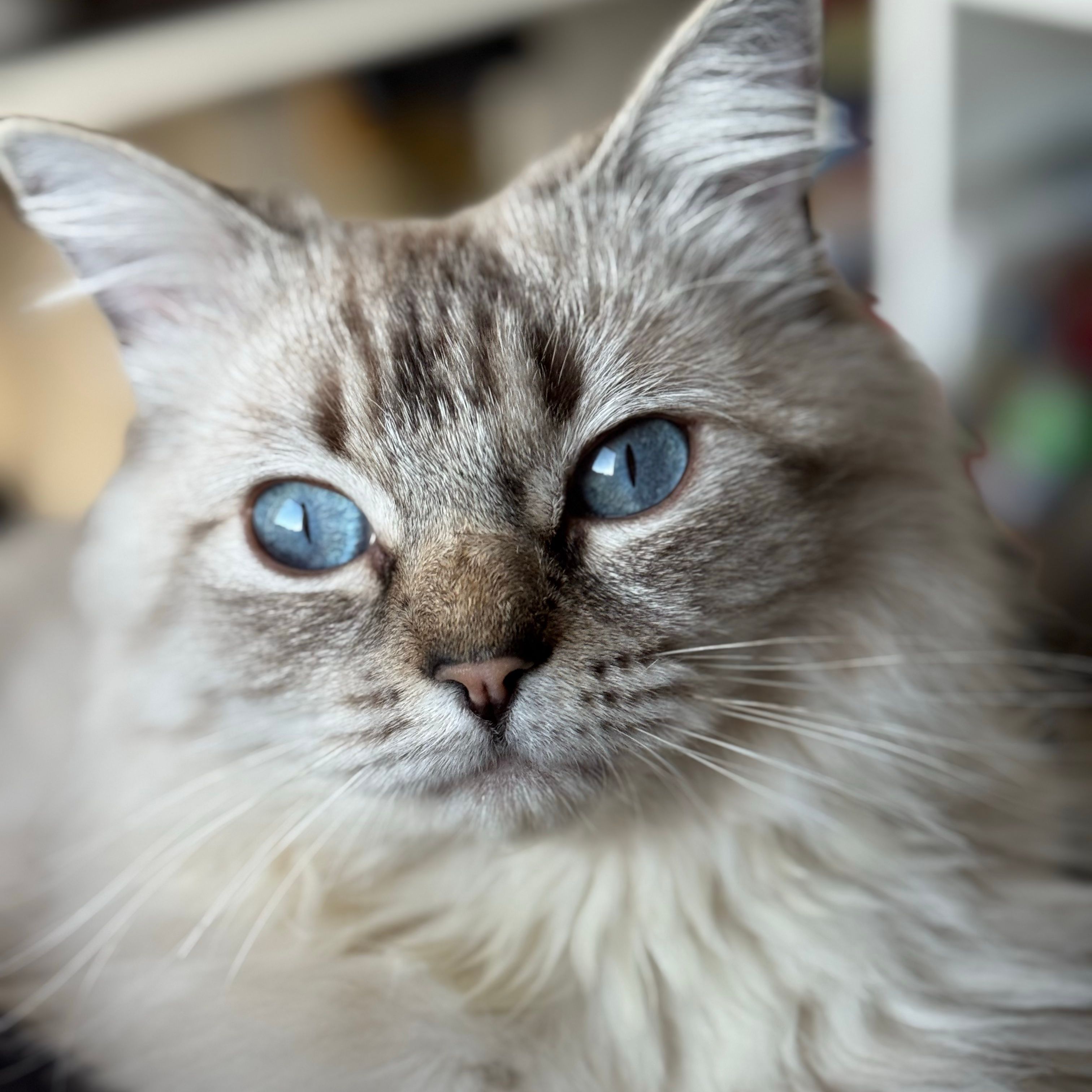 Benny