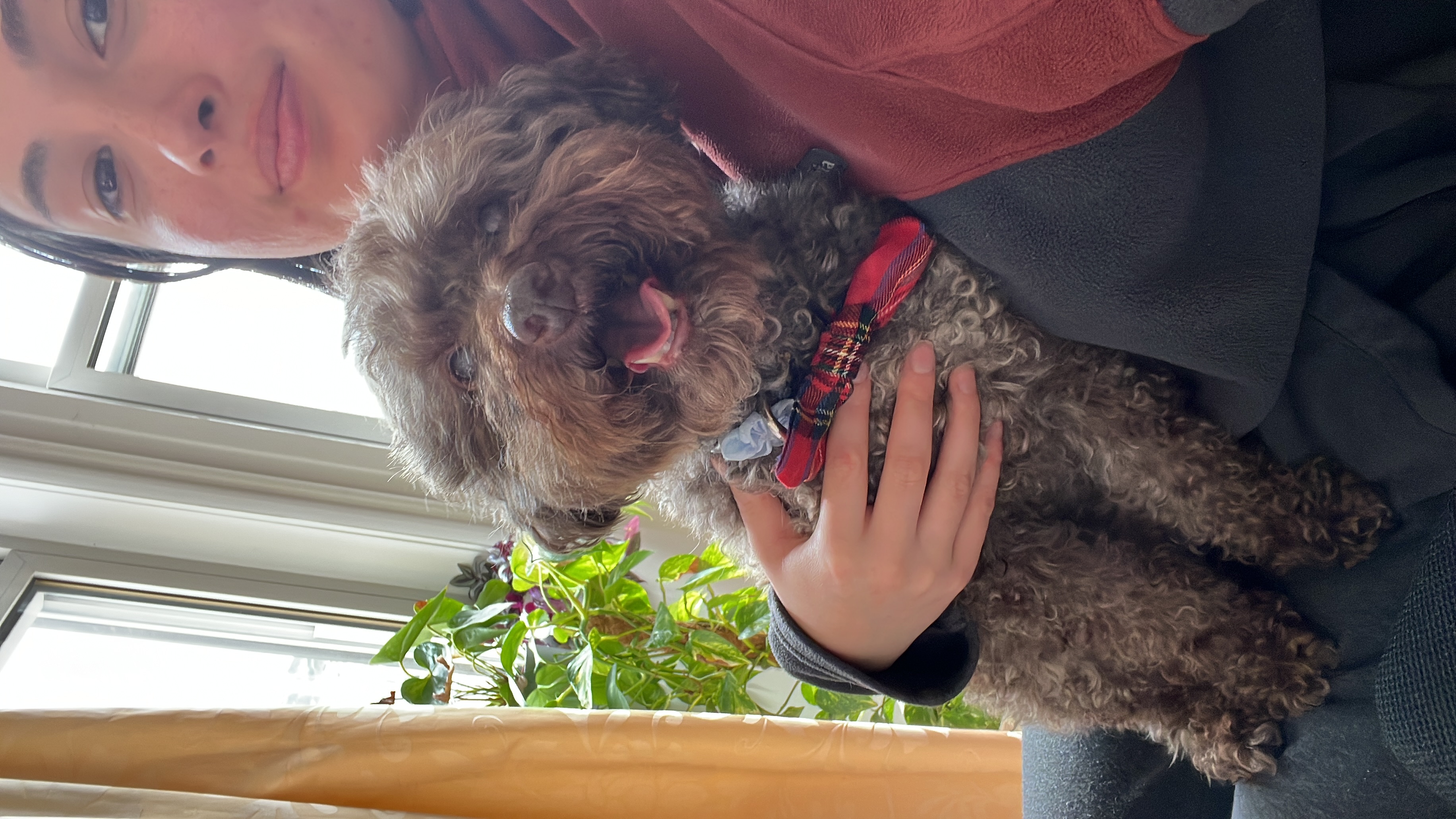 image-8