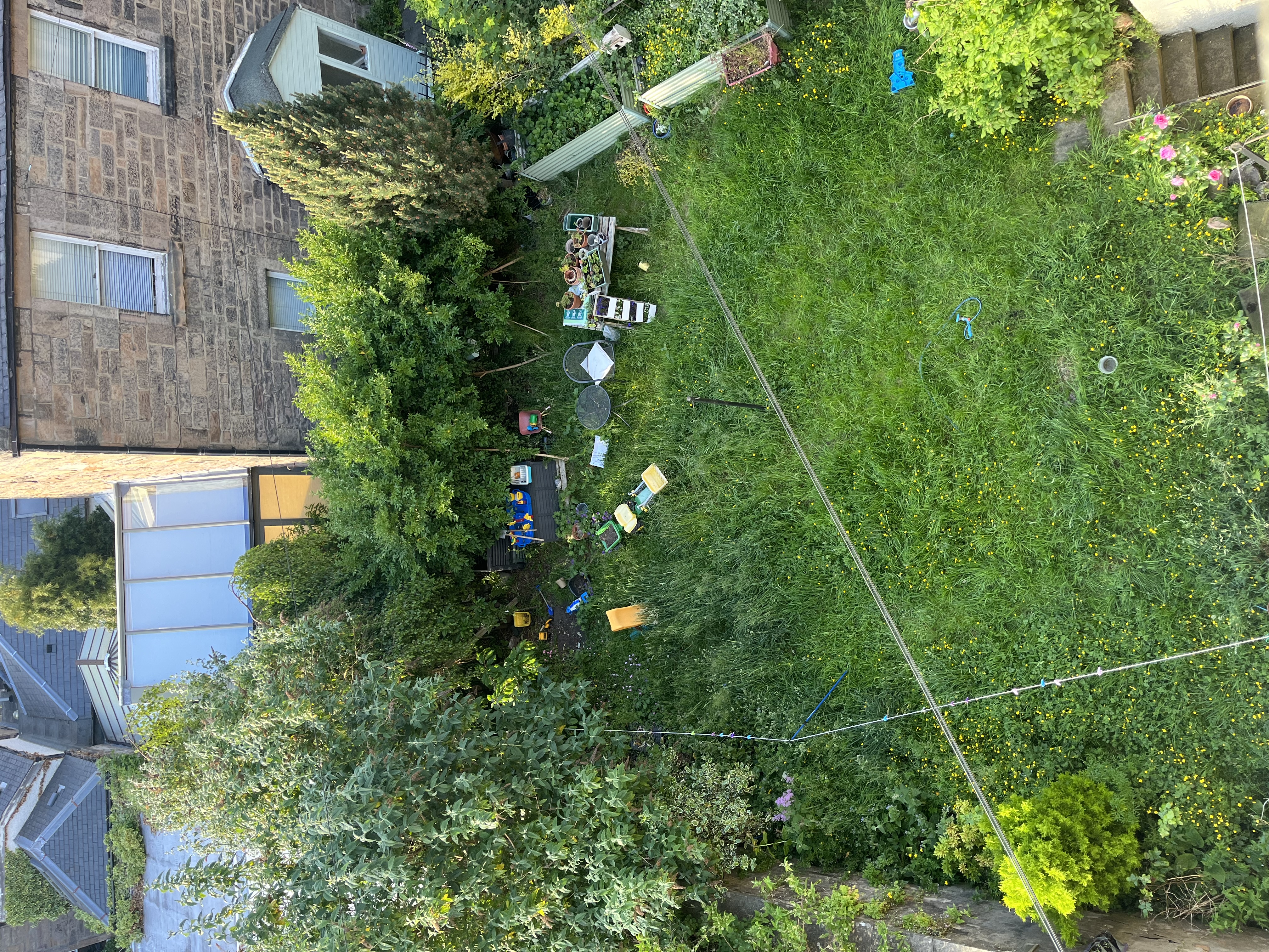image-20