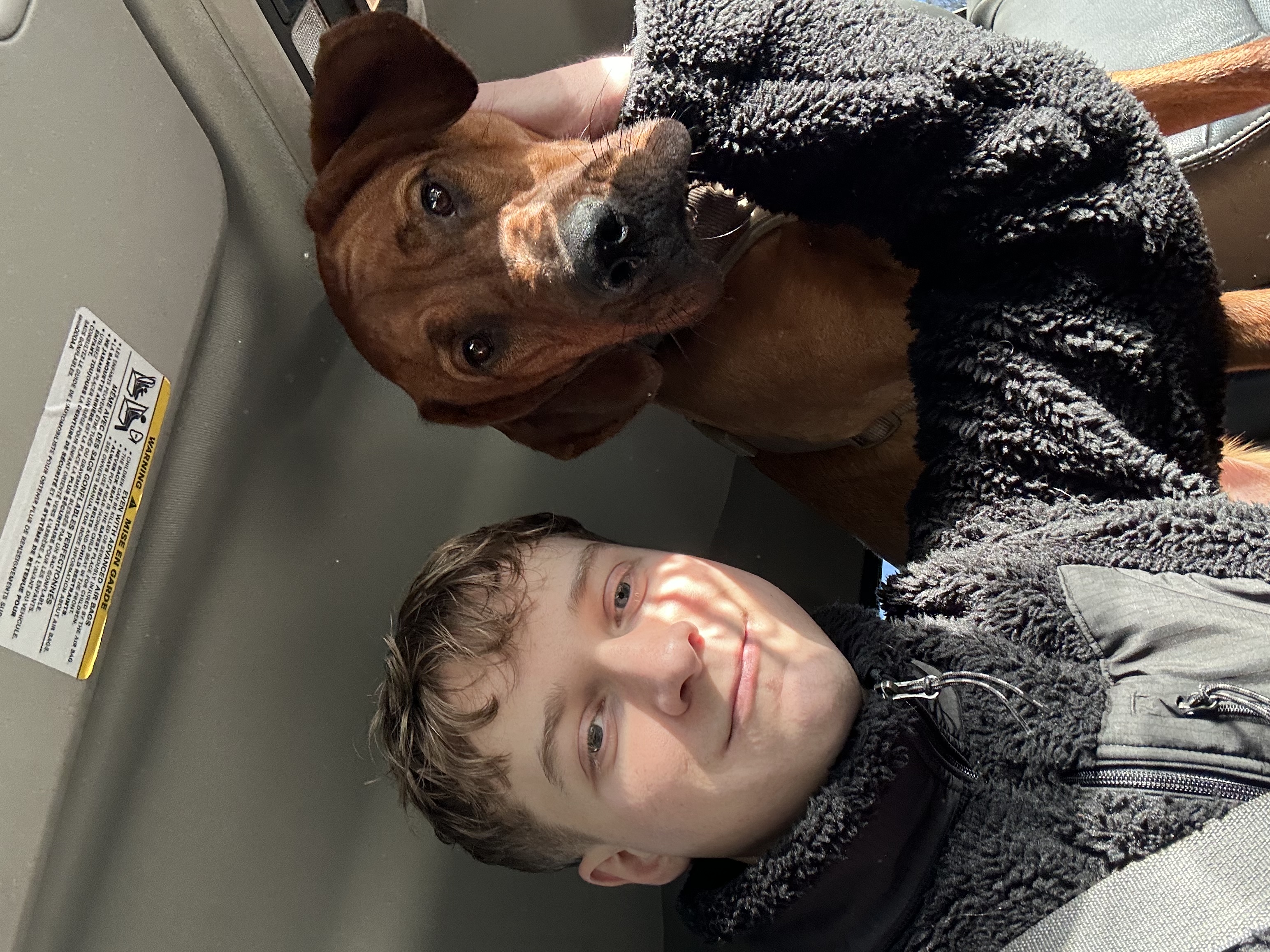 image-1