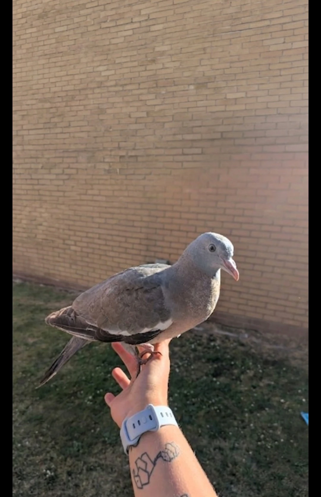 image-18