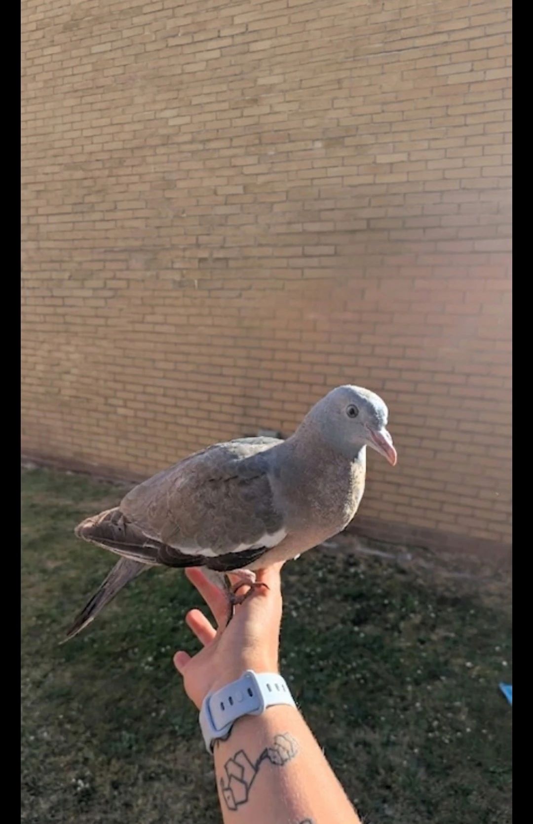 image-18