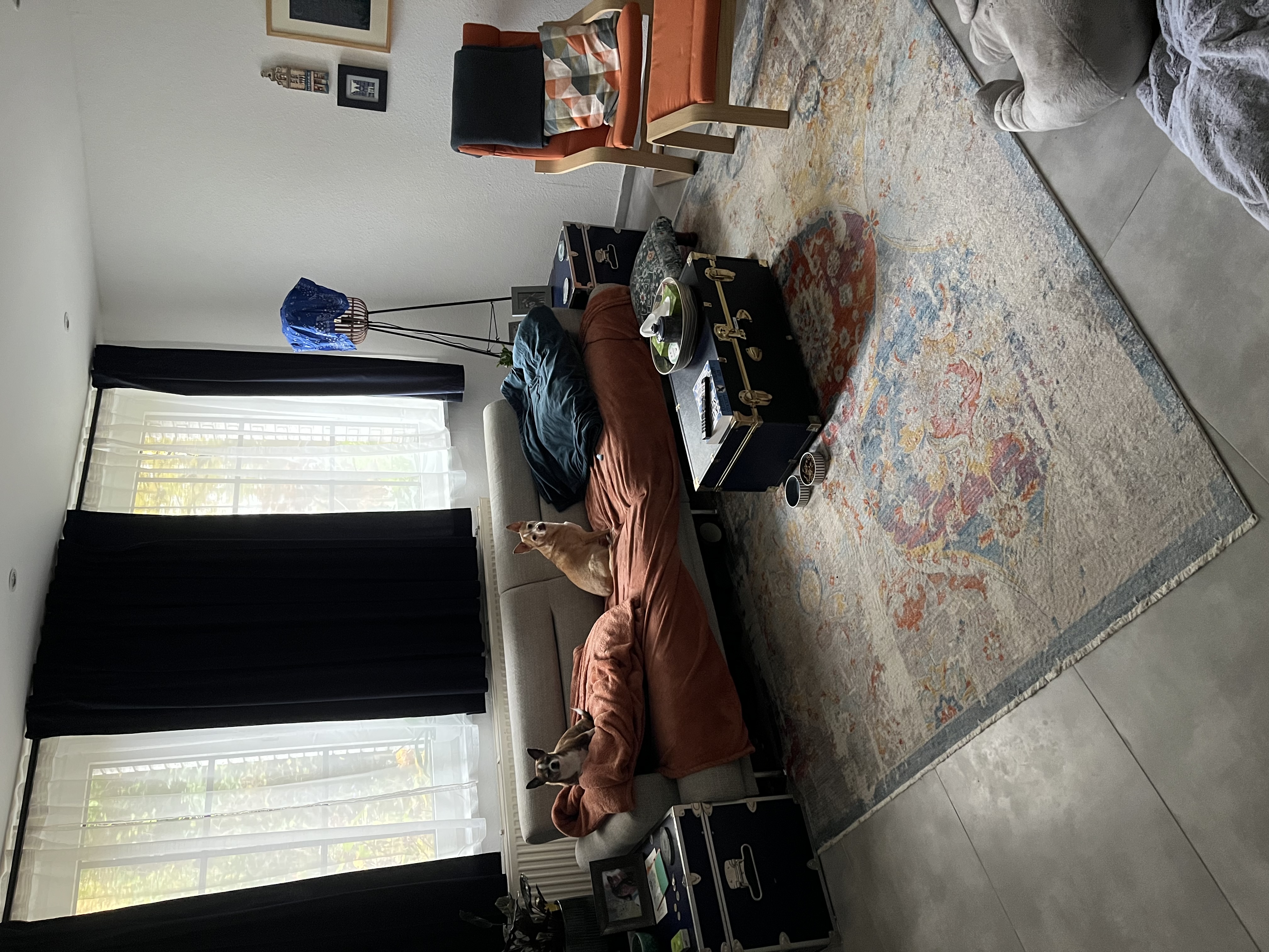 image-18