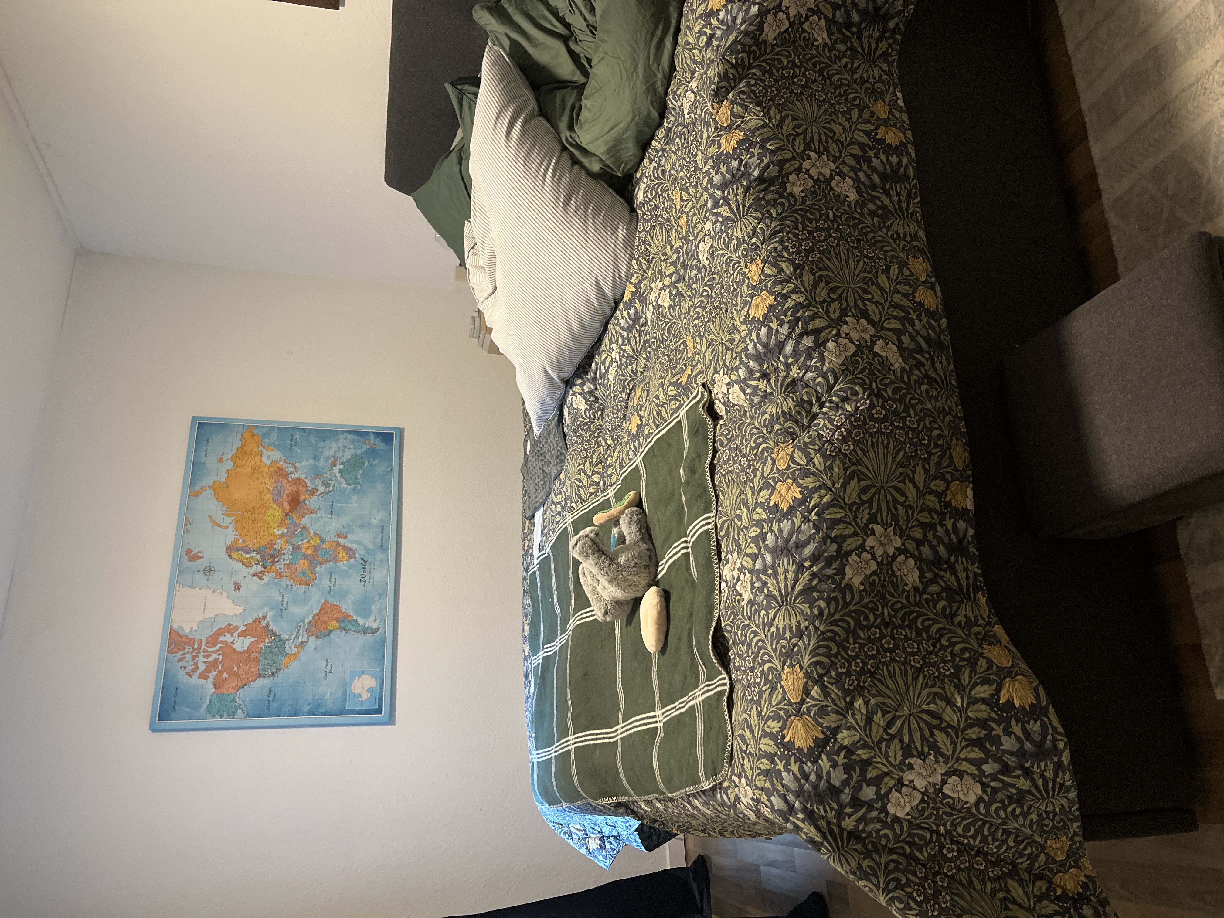 image-19