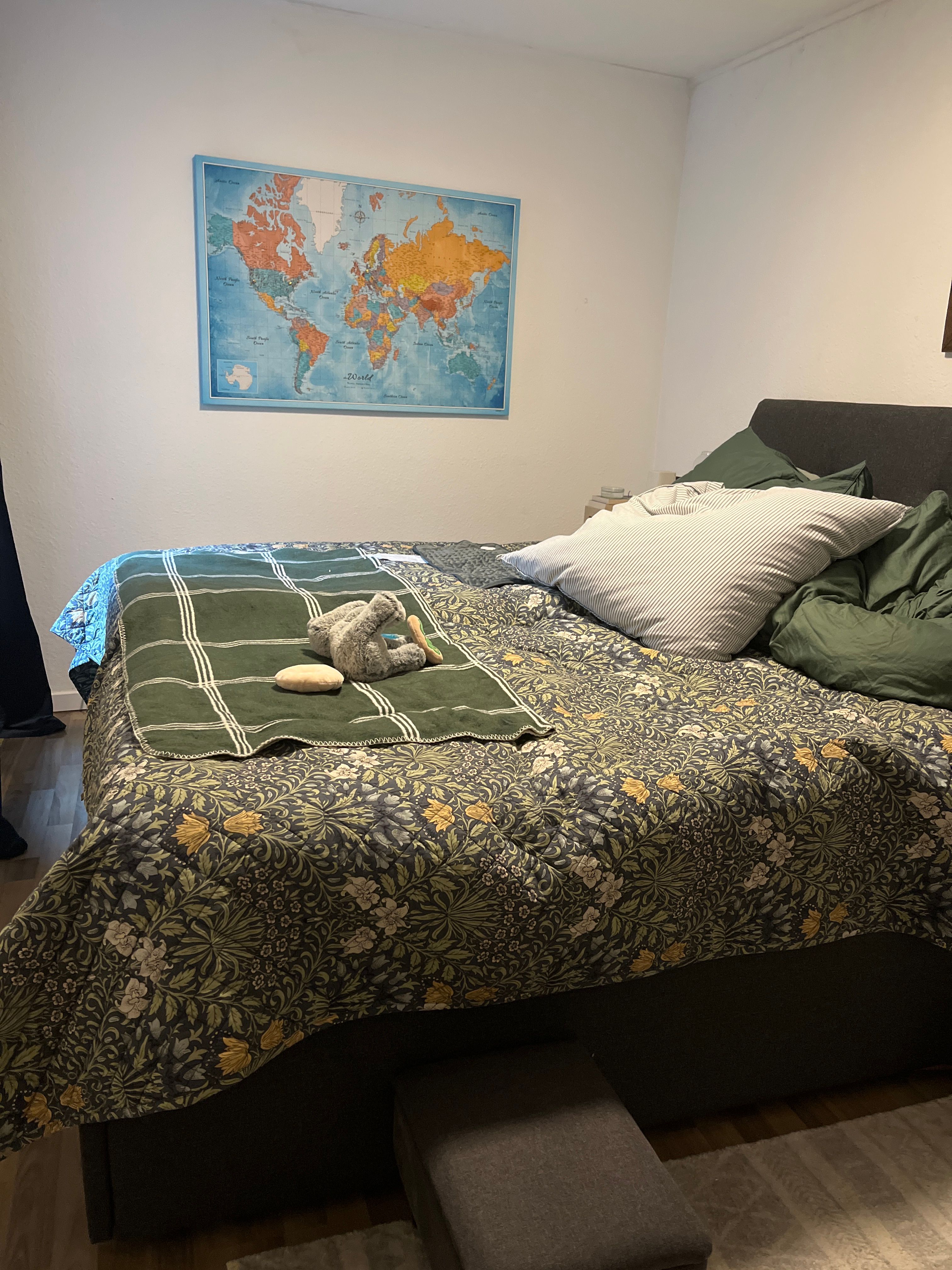 image-19