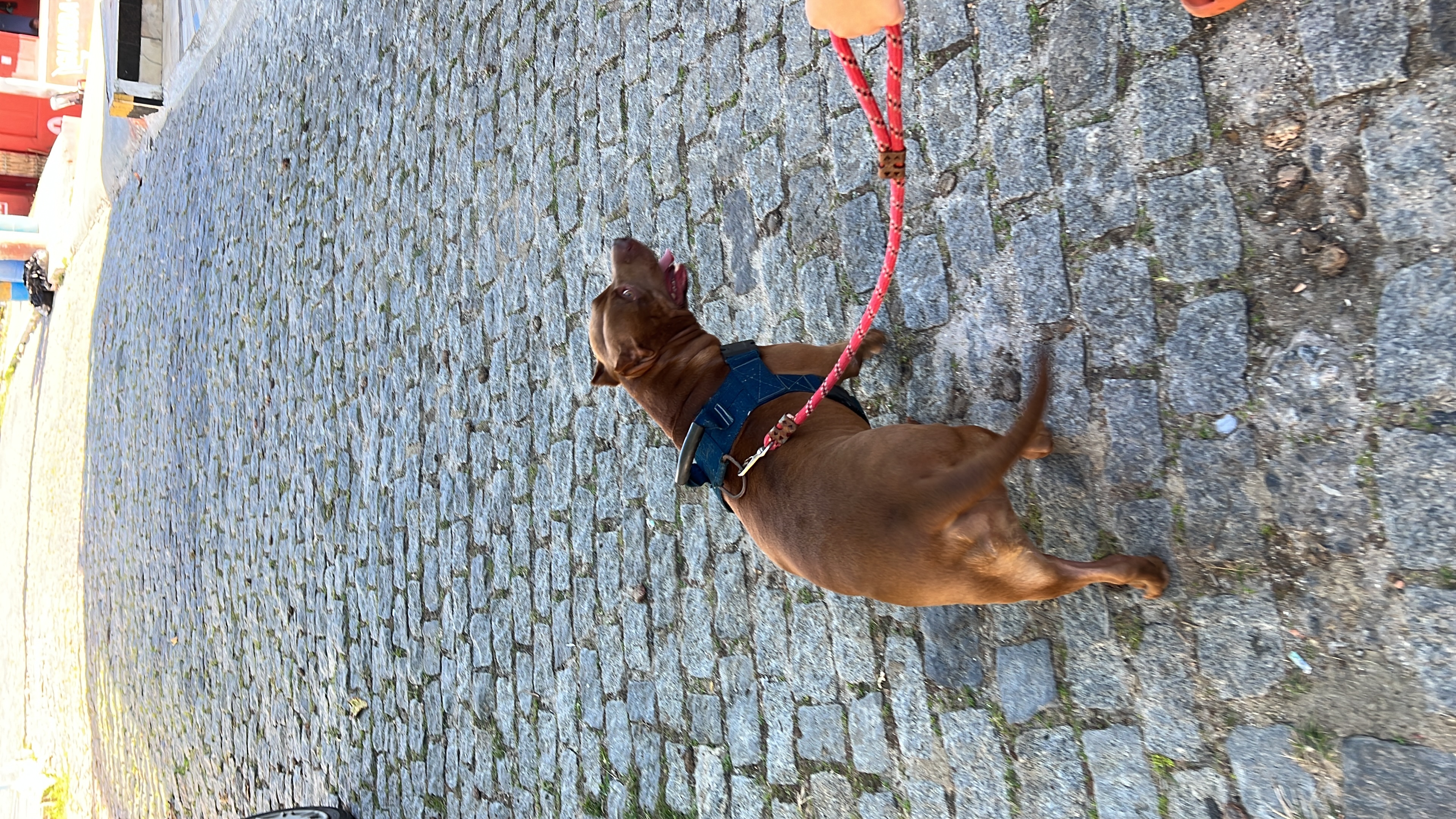 image-4